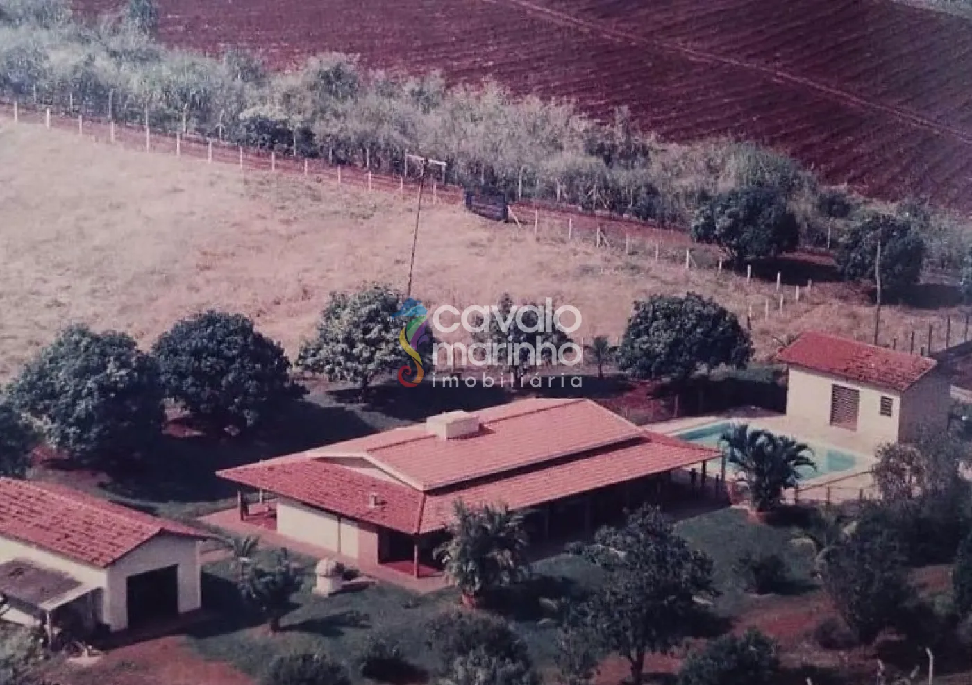 Comprar Rural / Ch&aacute;cara em Ribeir&atilde;o Preto R$ 5.185.000,00 - Foto 11