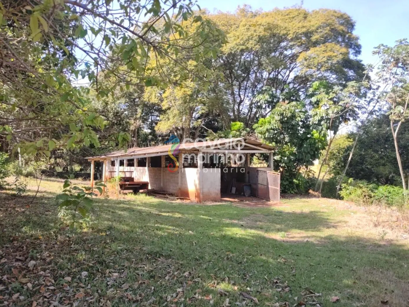 Comprar Rural / Ch&aacute;cara em Ribeir&atilde;o Preto R$ 5.185.000,00 - Foto 8
