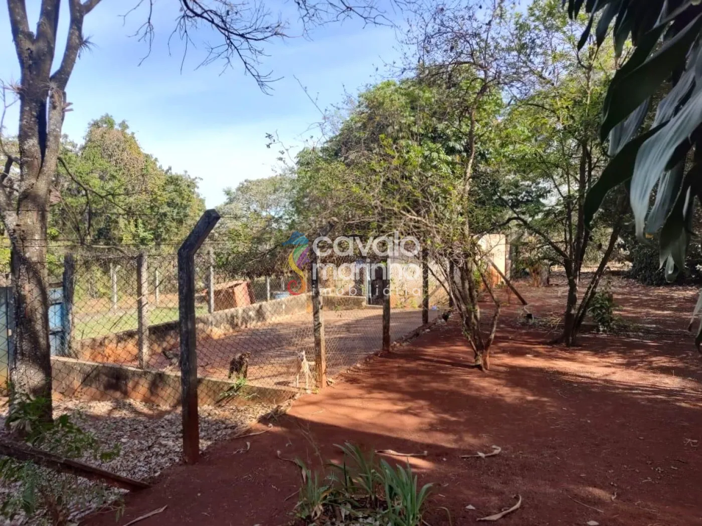 Comprar Rural / Ch&aacute;cara em Ribeir&atilde;o Preto R$ 5.185.000,00 - Foto 14