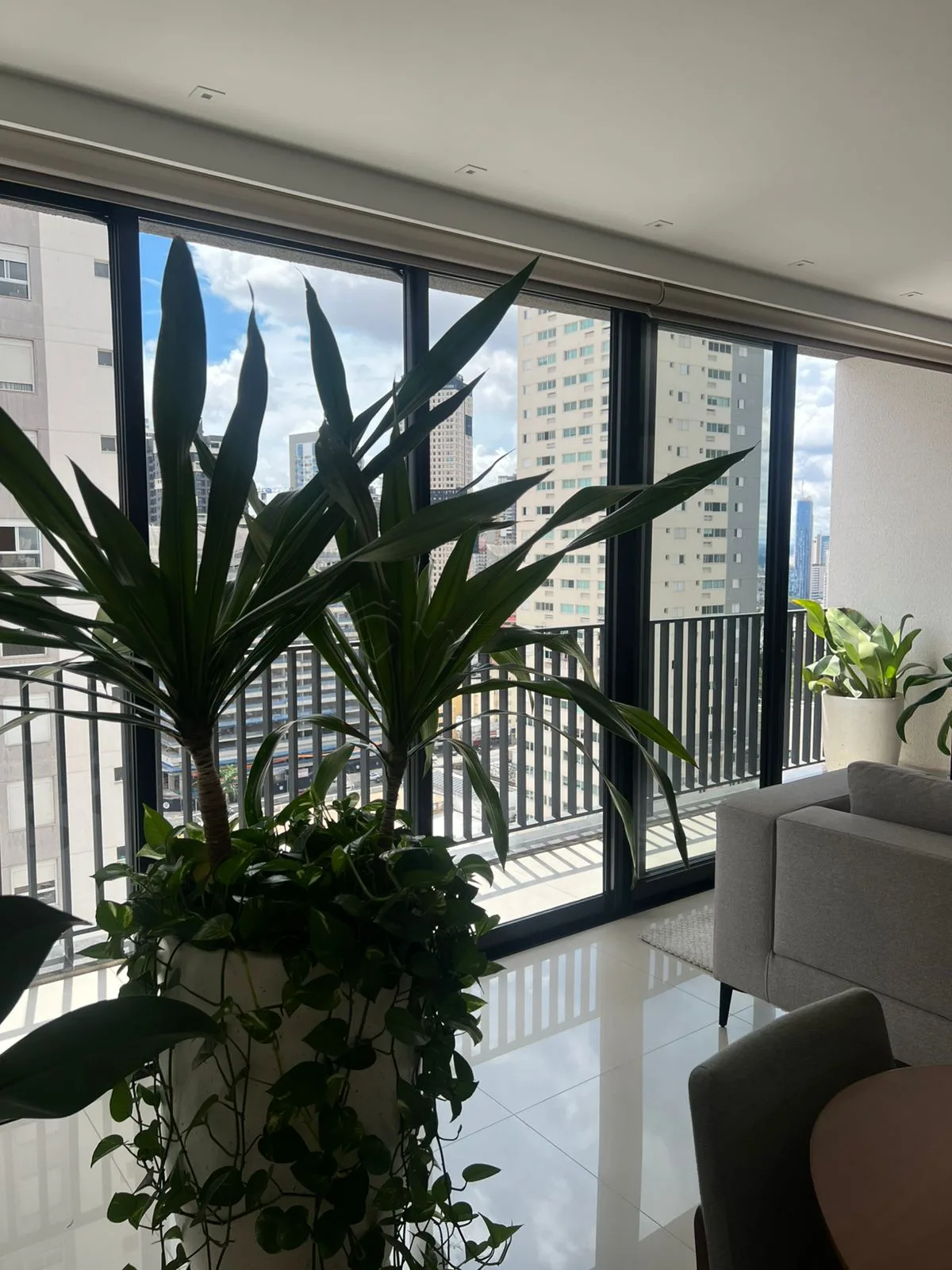 Alugar Apartamento / Padr&atilde;o em Goi&acirc;nia R$ 15.900,00 - Foto 30