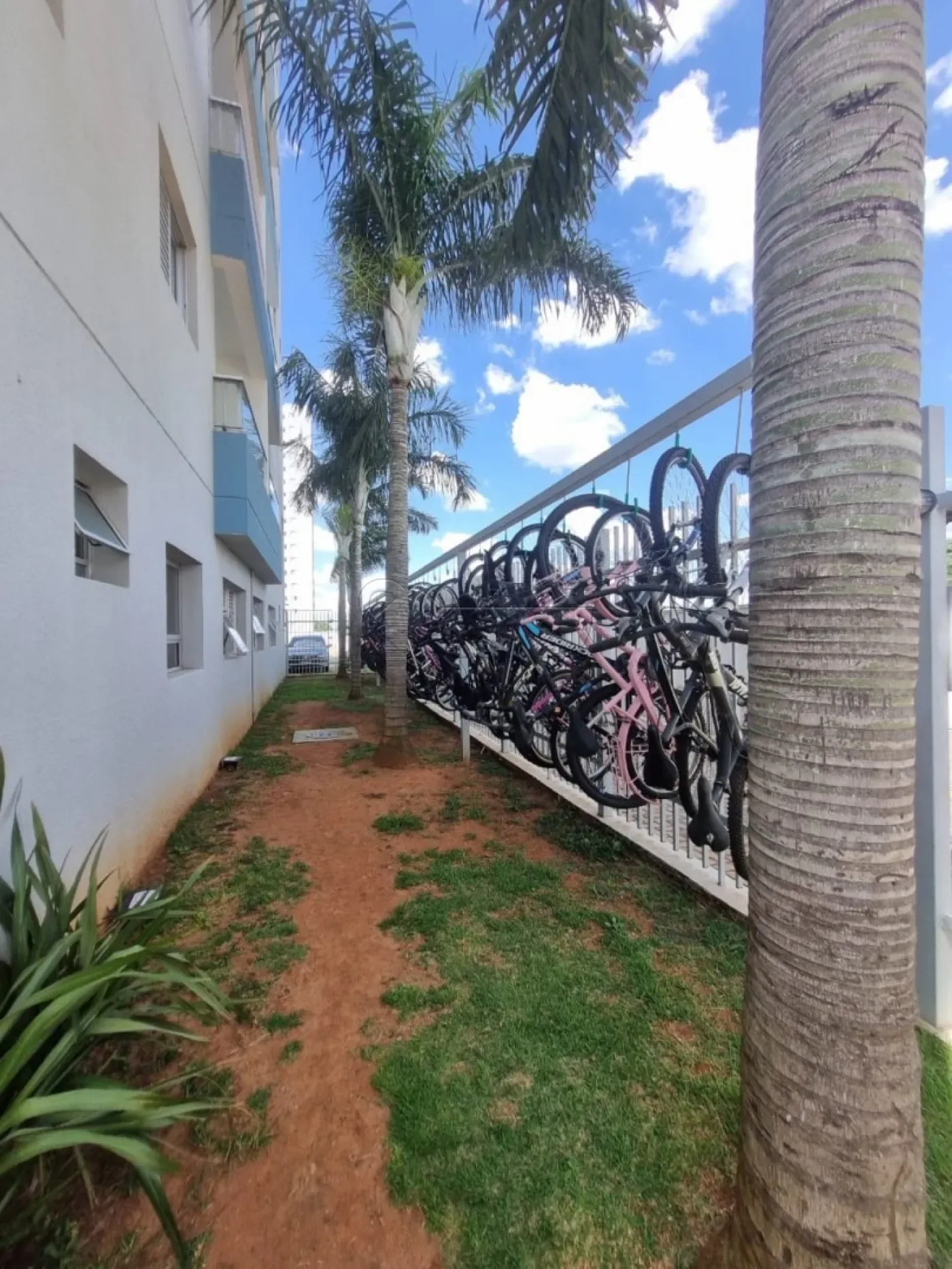 Alugar Apartamento / Padr&atilde;o em Limeira R$ 2.900,00 - Foto 18