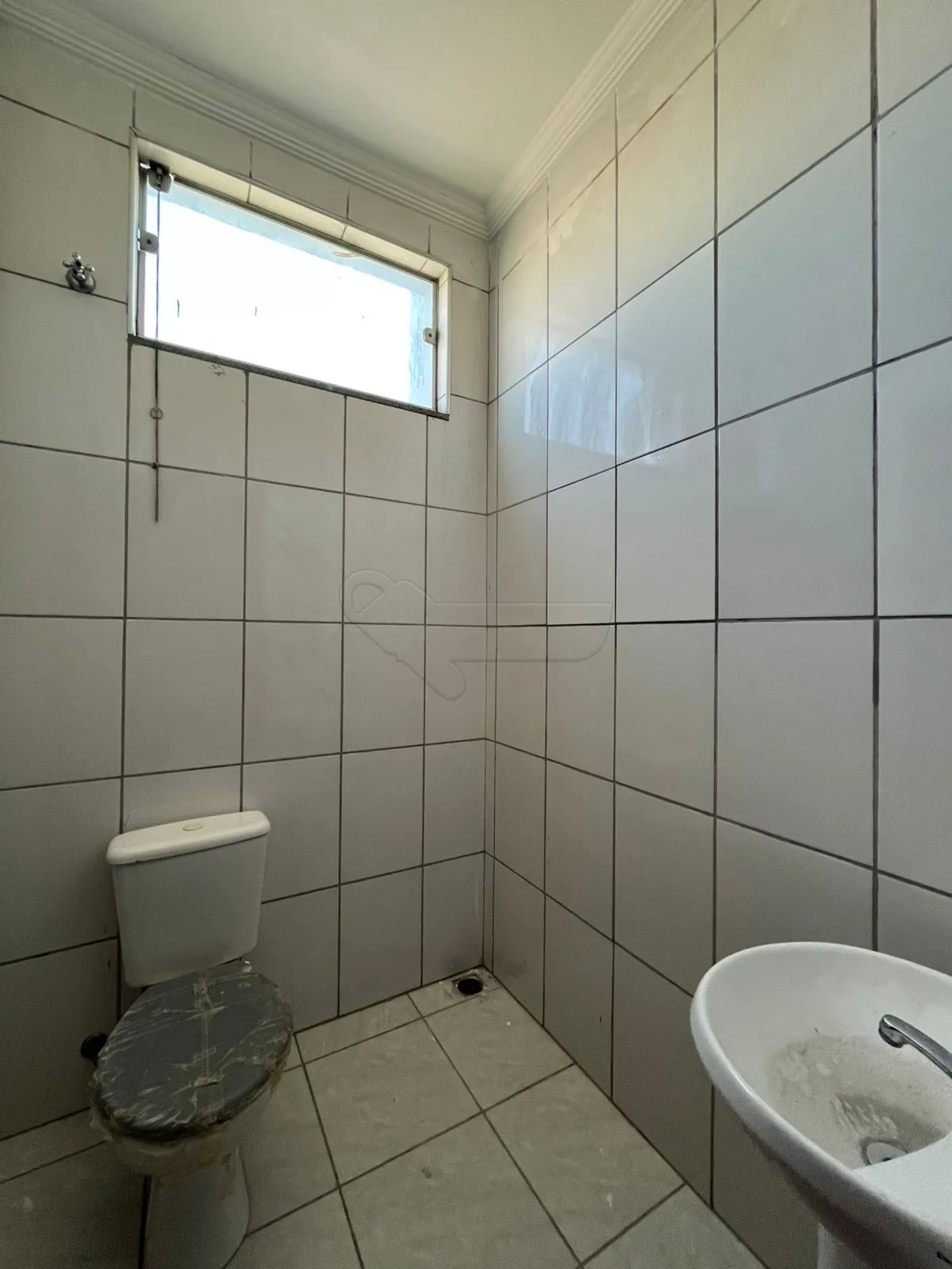 Alugar Comercial / Barrac&atilde;o em Limeira R$ 19.800,00 - Foto 4
