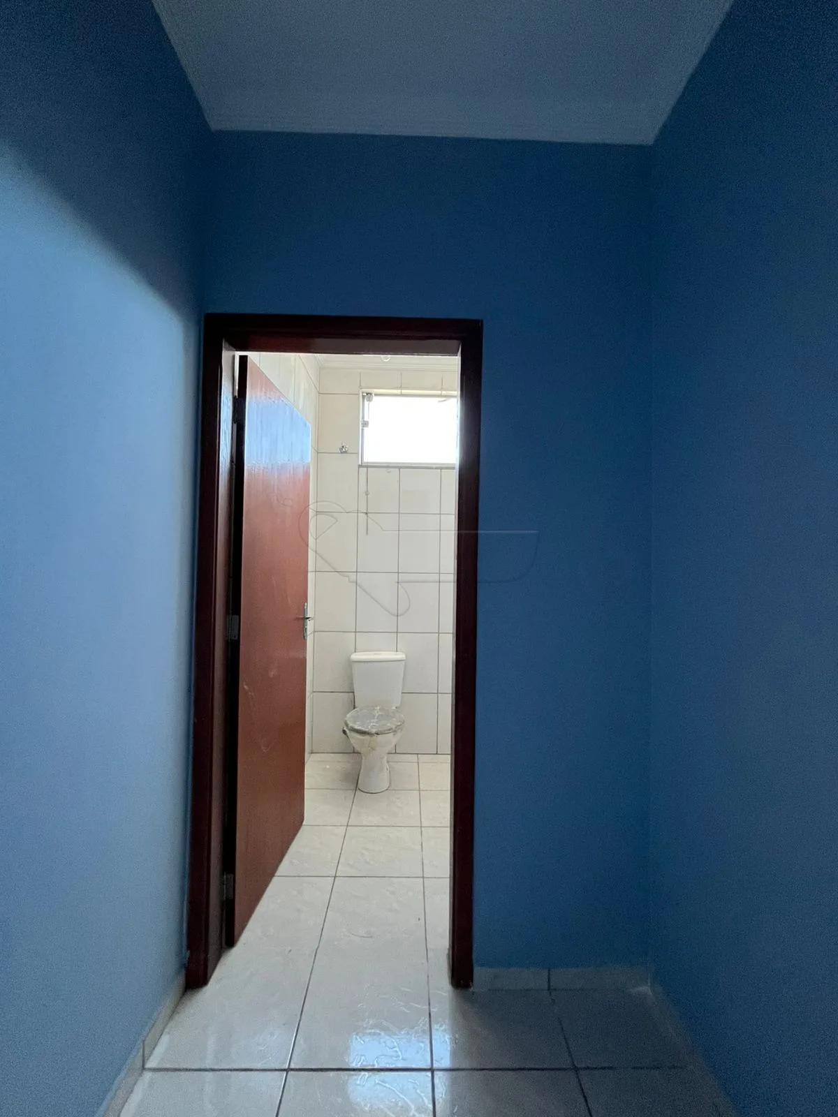 Alugar Comercial / Barrac&atilde;o em Limeira R$ 19.800,00 - Foto 5