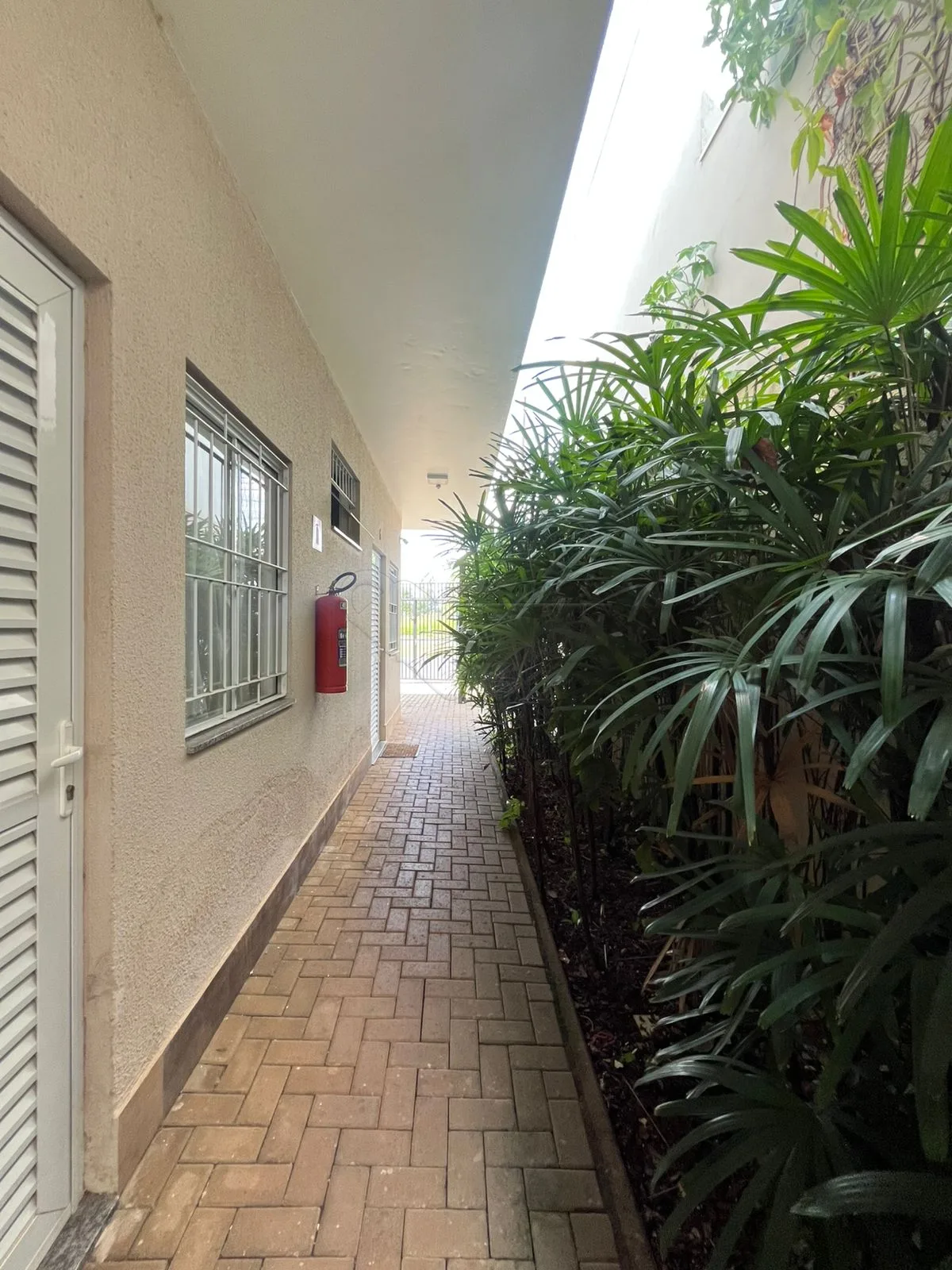 Alugar Apartamento / Kitnet em Limeira R$ 1.450,00 - Foto 3