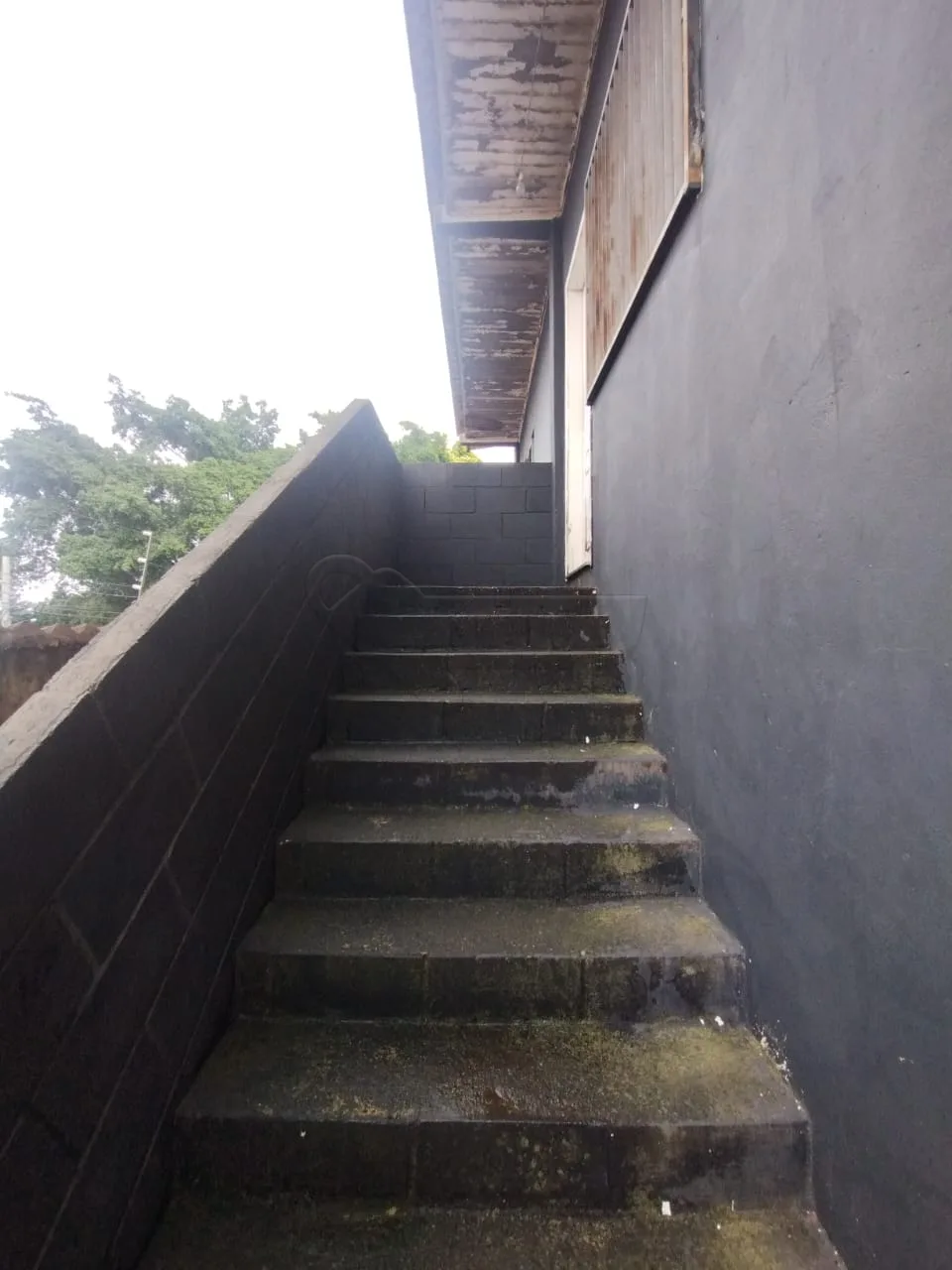 Alugar Comercial / Barrac&atilde;o em Limeira R$ 14.500,00 - Foto 25
