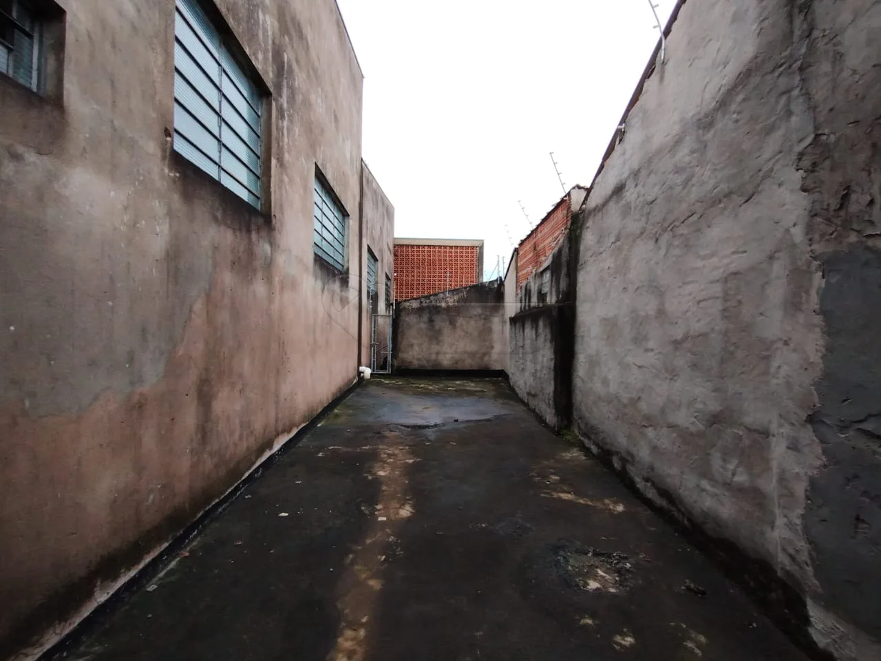 Alugar Comercial / Barrac&atilde;o em Limeira R$ 14.500,00 - Foto 44