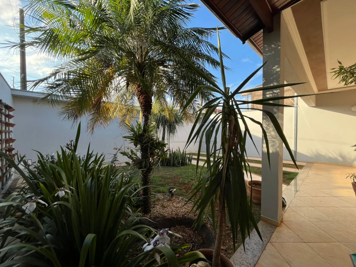 Alugar Casa / Padr&atilde;o em Limeira R$ 3.200,00 - Foto 6