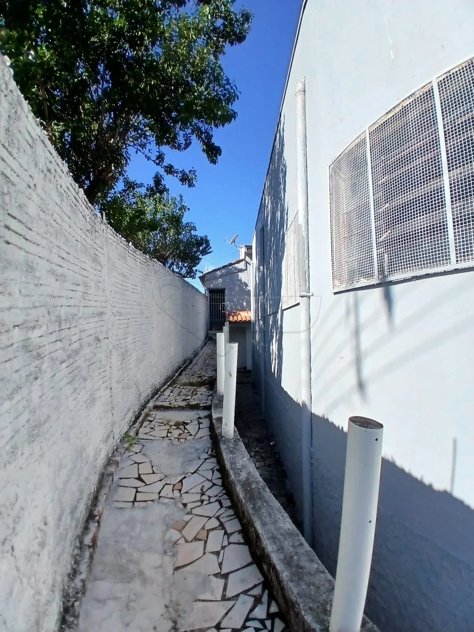 Alugar Comercial / Casa em Limeira R$ 3.500,00 - Foto 15