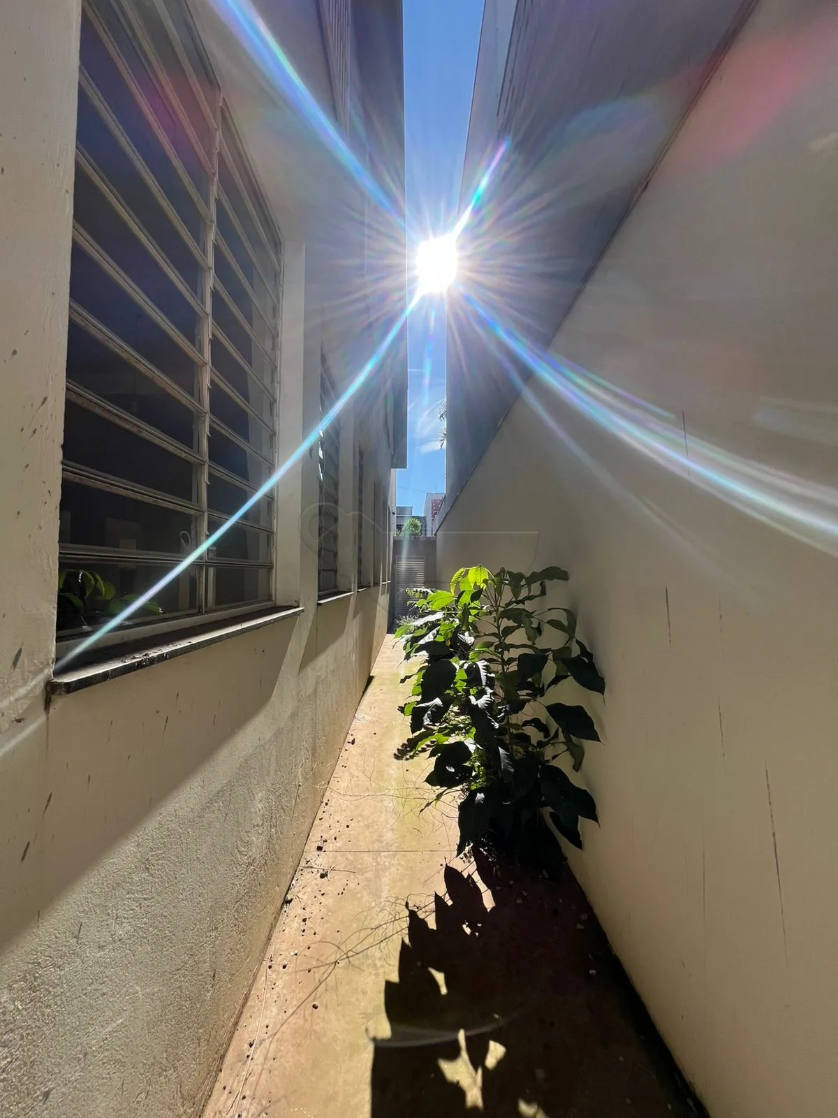 Alugar Comercial / Sal&atilde;o em Limeira R$ 7.500,00 - Foto 31