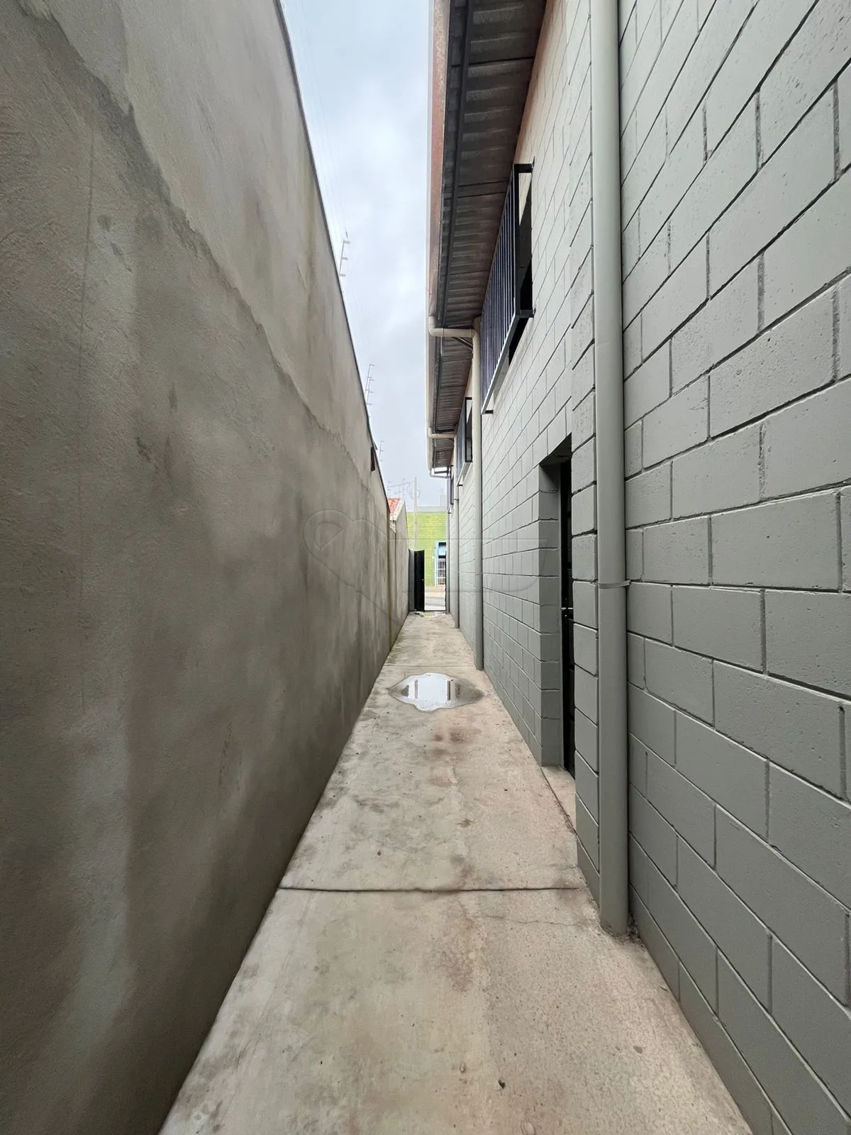 Alugar Comercial / Barrac&atilde;o em Limeira R$ 4.000,00 - Foto 14