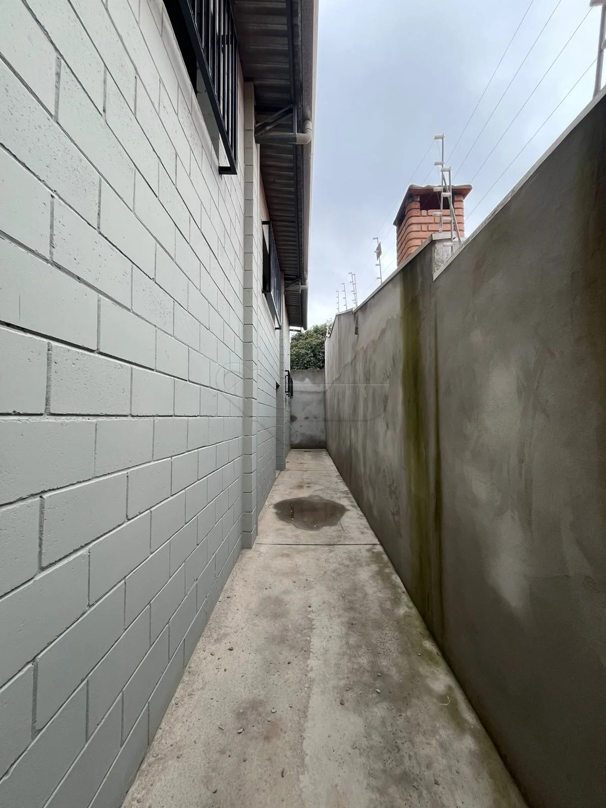 Alugar Comercial / Barrac&atilde;o em Limeira R$ 4.000,00 - Foto 15