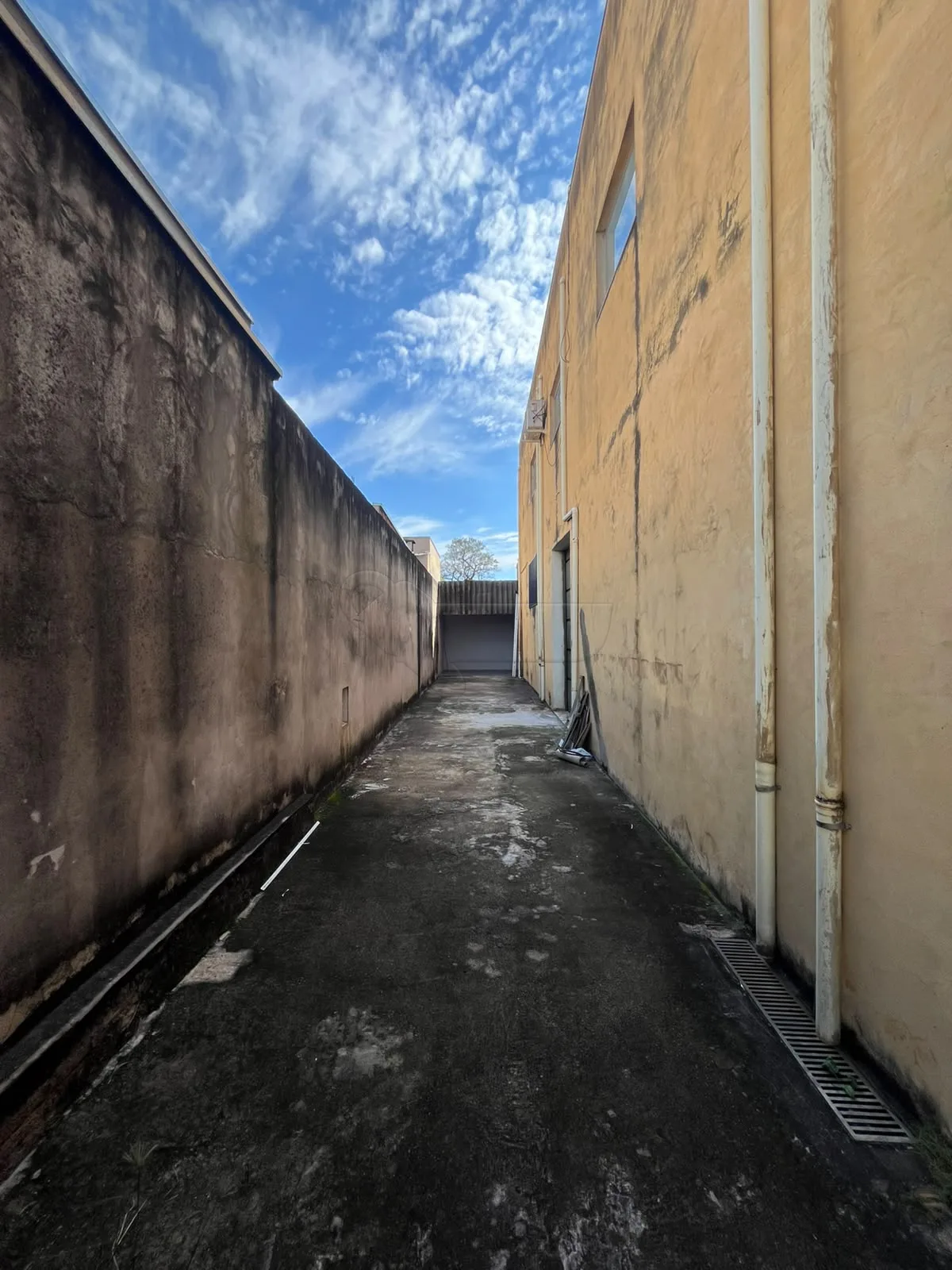 Alugar Comercial / Sal&atilde;o em Limeira R$ 3.700,00 - Foto 14