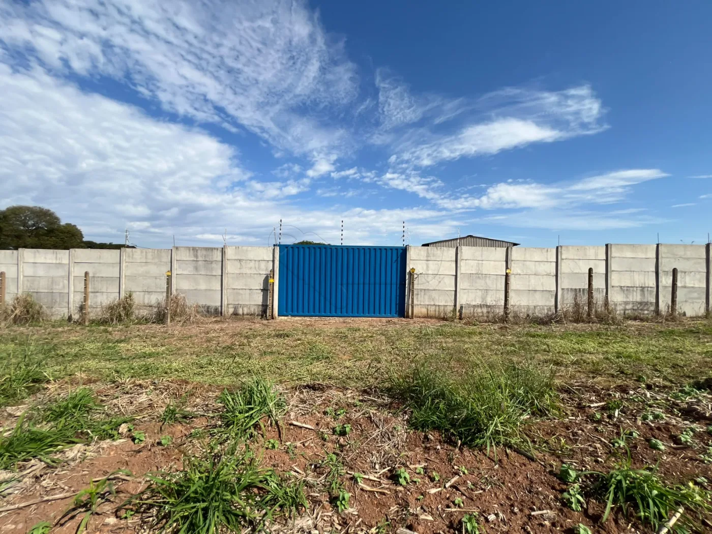 Alugar Comercial / Barrac&atilde;o em Limeira R$ 3.200,00 - Foto 1