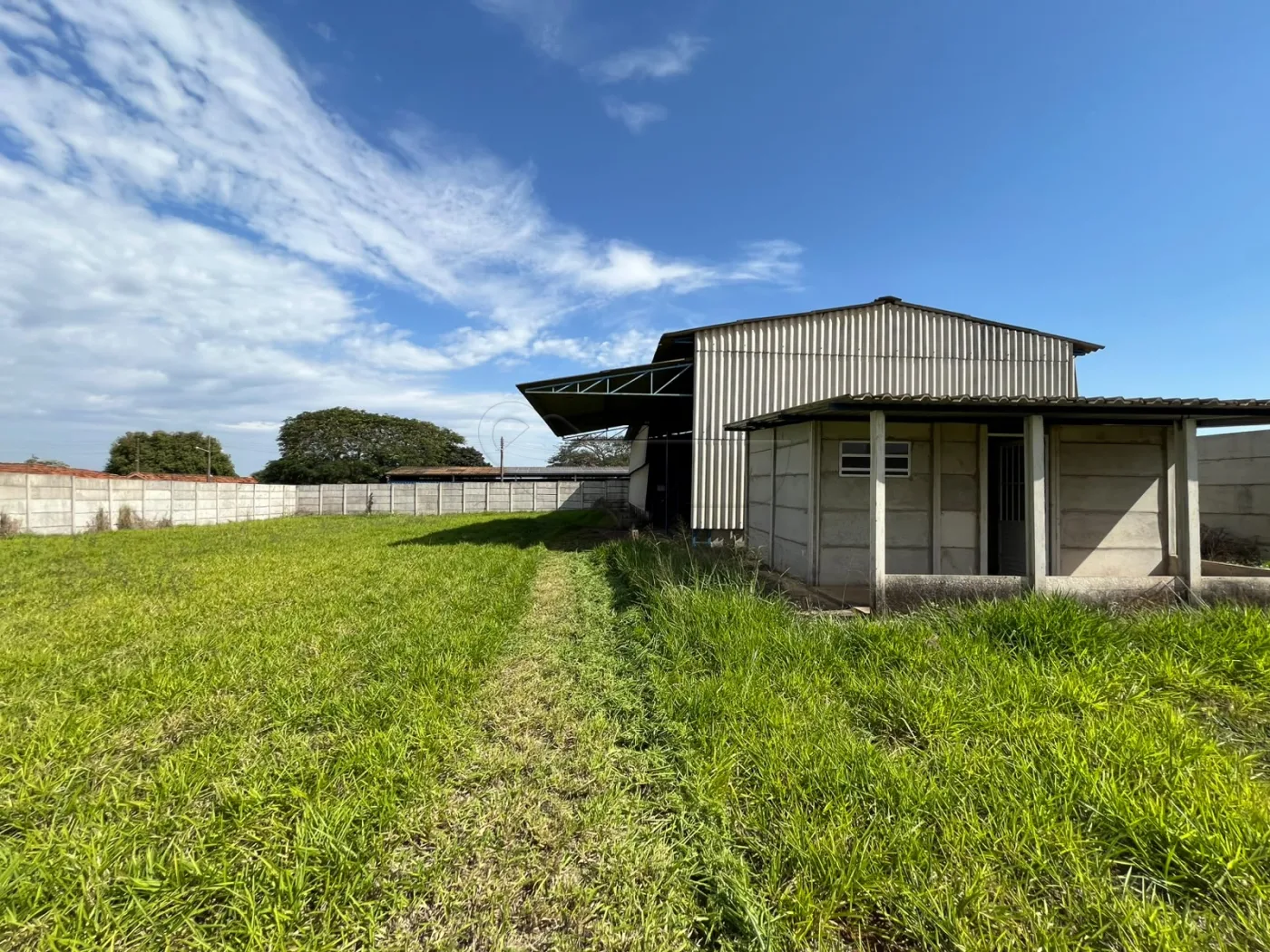 Alugar Comercial / Barrac&atilde;o em Limeira R$ 3.200,00 - Foto 17