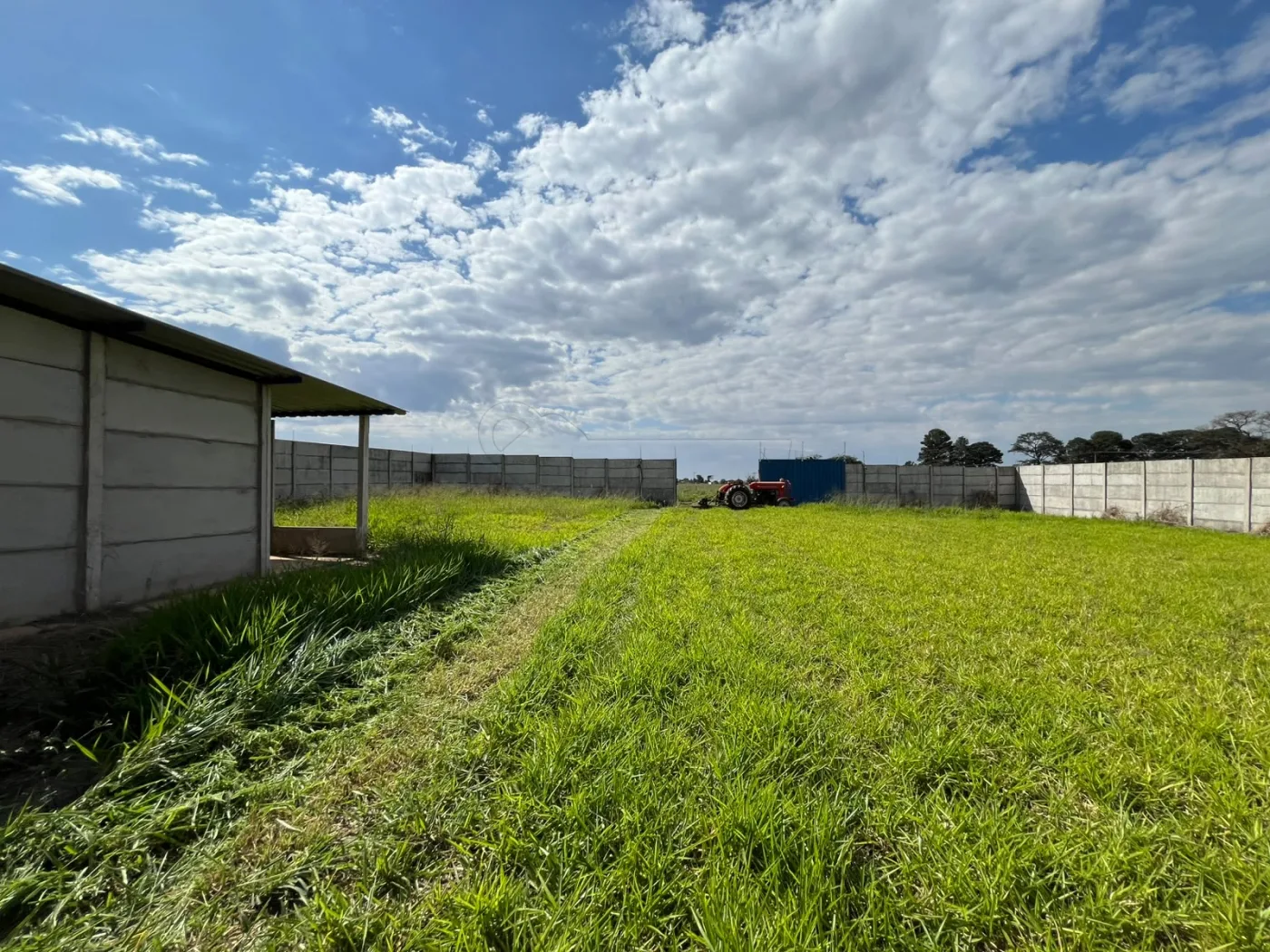Alugar Comercial / Barrac&atilde;o em Limeira R$ 3.200,00 - Foto 18