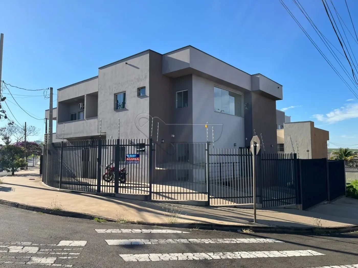 Alugar Apartamento / Kitnet em Limeira R$ 1.600,00 - Foto 1
