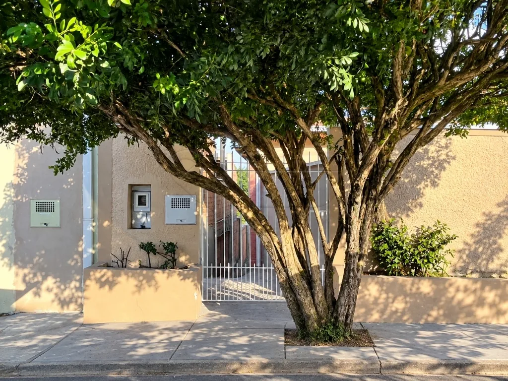 Alugar Casa / Padr&atilde;o em Limeira R$ 1.500,00 - Foto 1