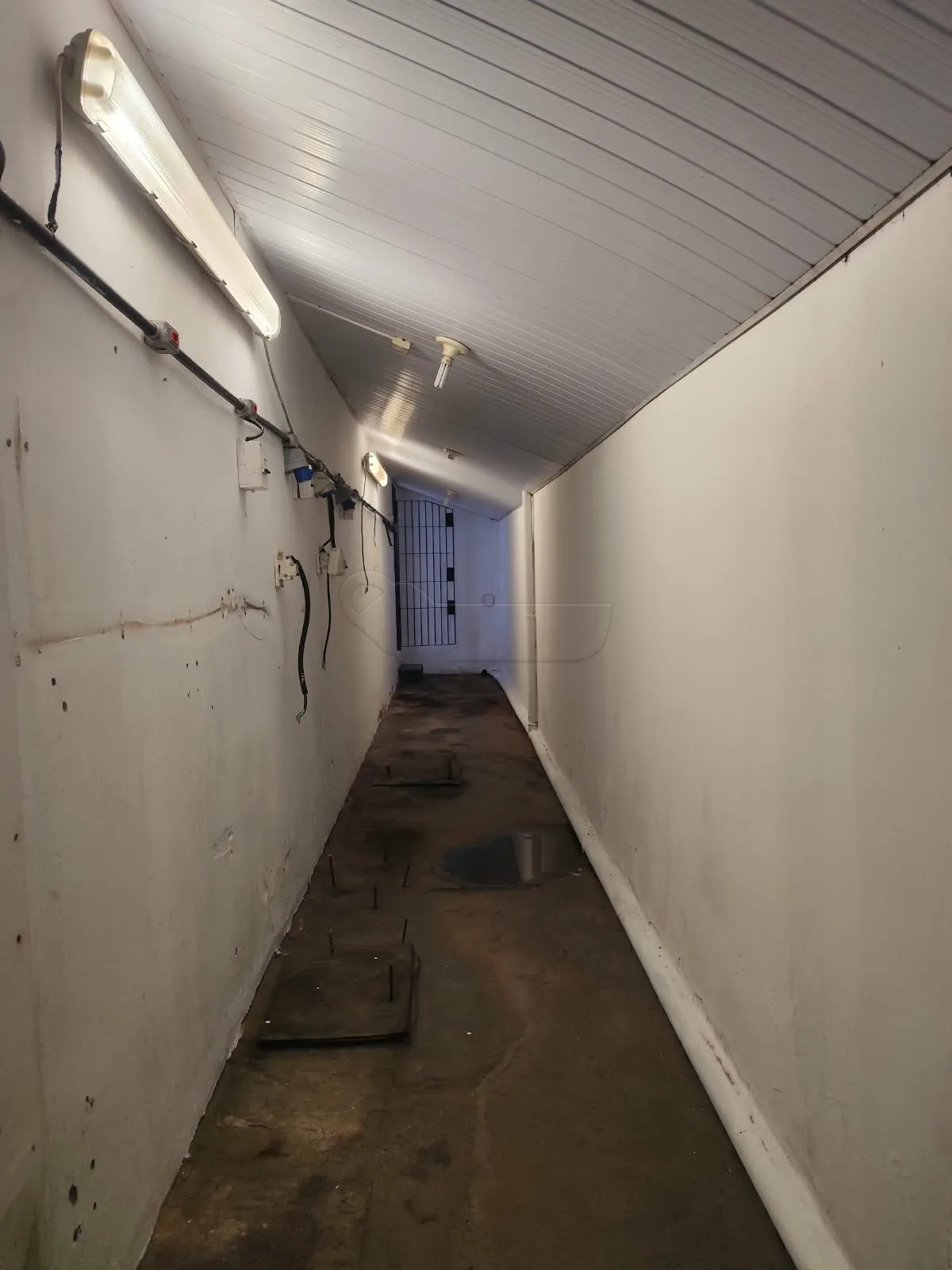 Alugar Comercial / Galp&atilde;o em Limeira R$ 1.700,00 - Foto 13