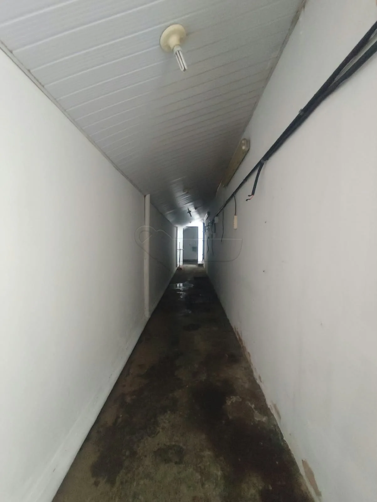 Alugar Comercial / Galp&atilde;o em Limeira R$ 1.700,00 - Foto 21