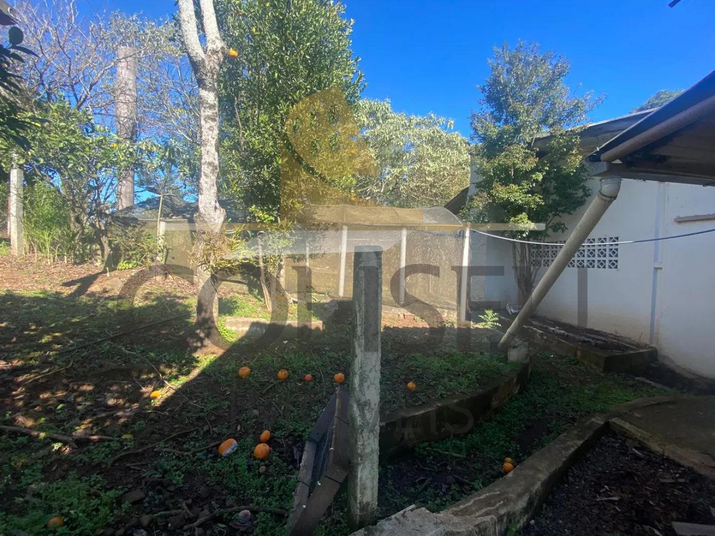 Alugar Casa / Padr&atilde;o em Conc&oacute;rdia R$ 2.000,00 - Foto 14