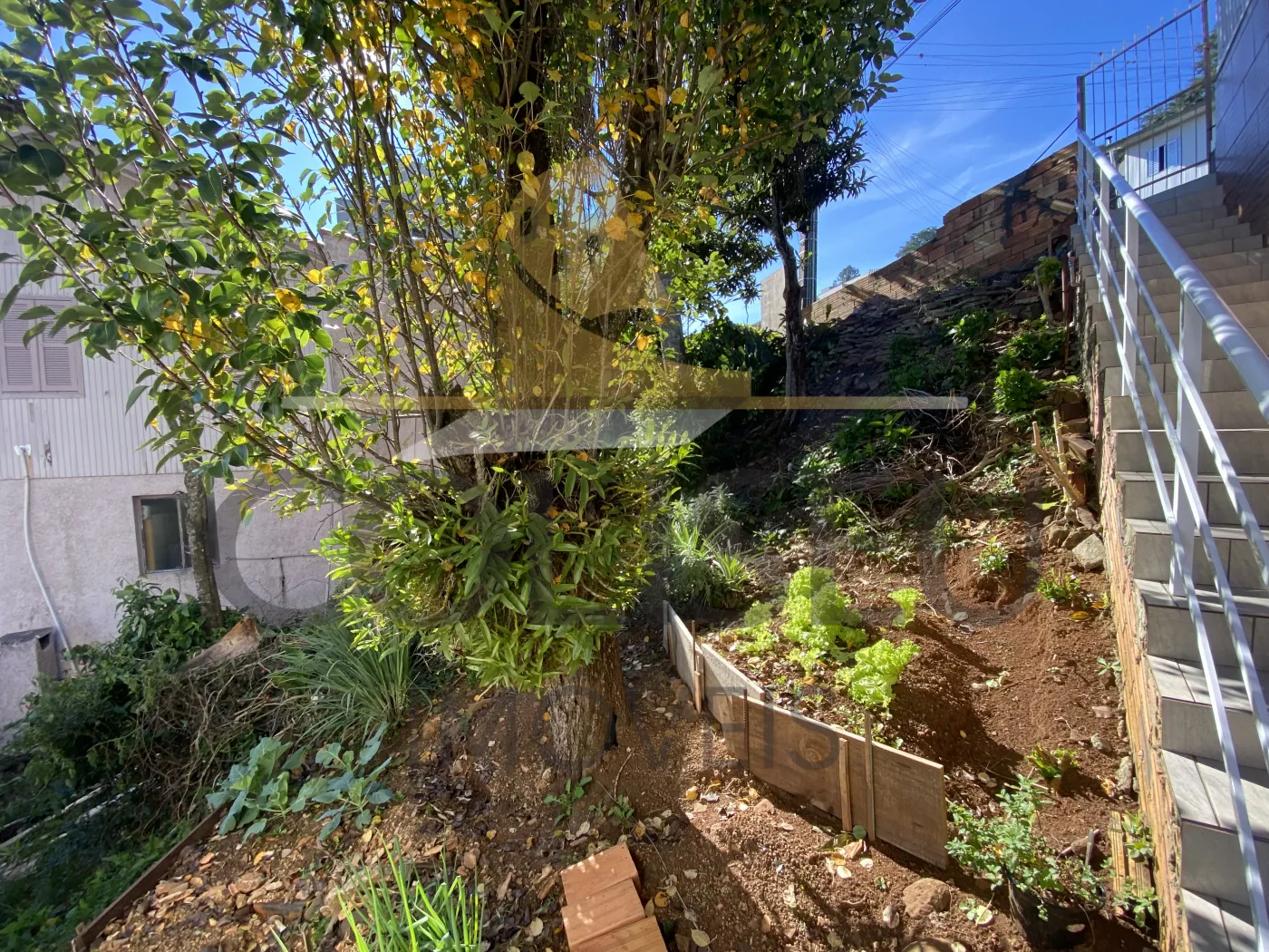 Alugar Casa / Piso T&eacute;rreo em Conc&oacute;rdia R$ 1.350,00 - Foto 25