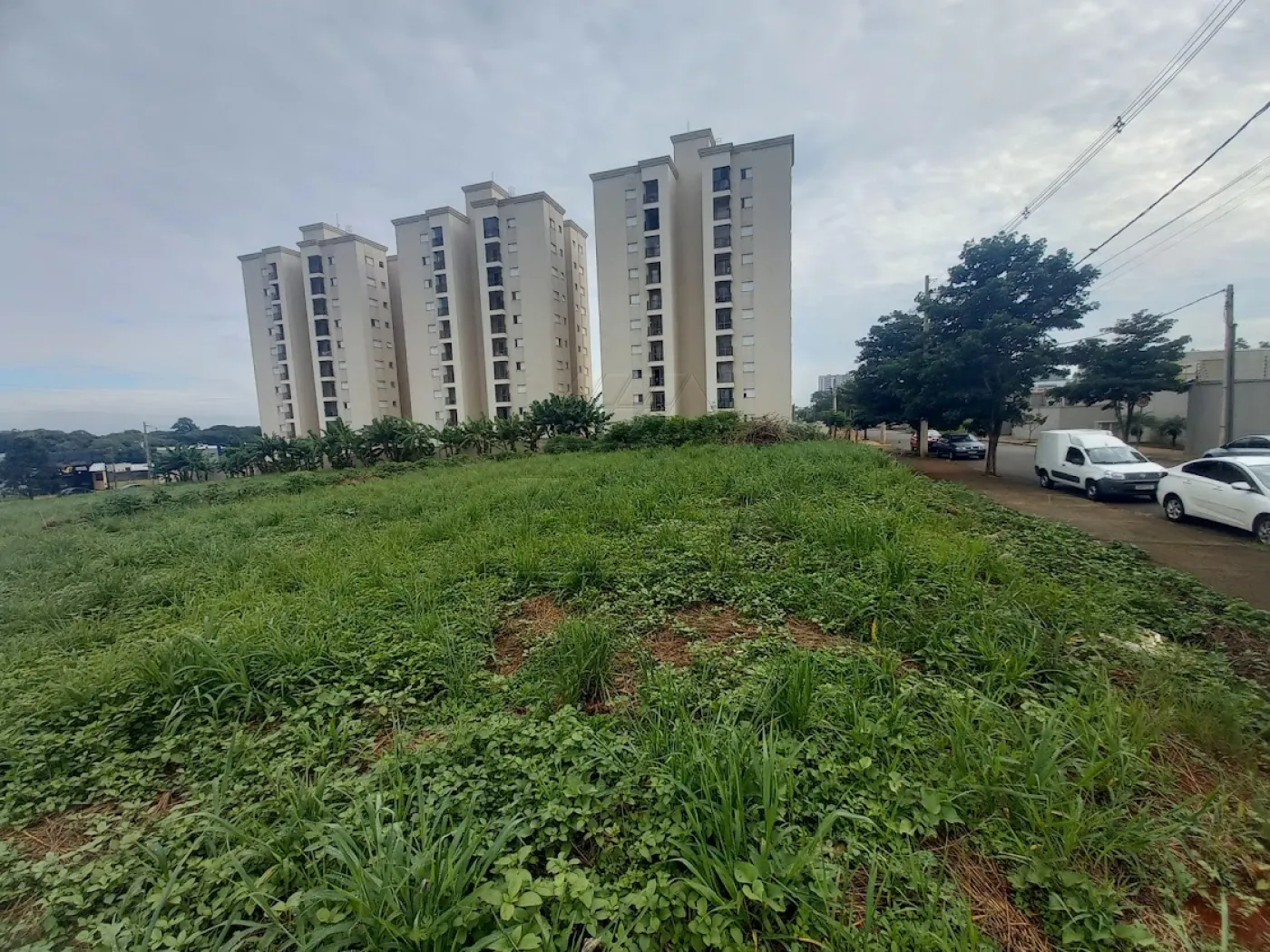 Thumbnail 0338a043-1c22-4a88-99e3-9f5e293e8983