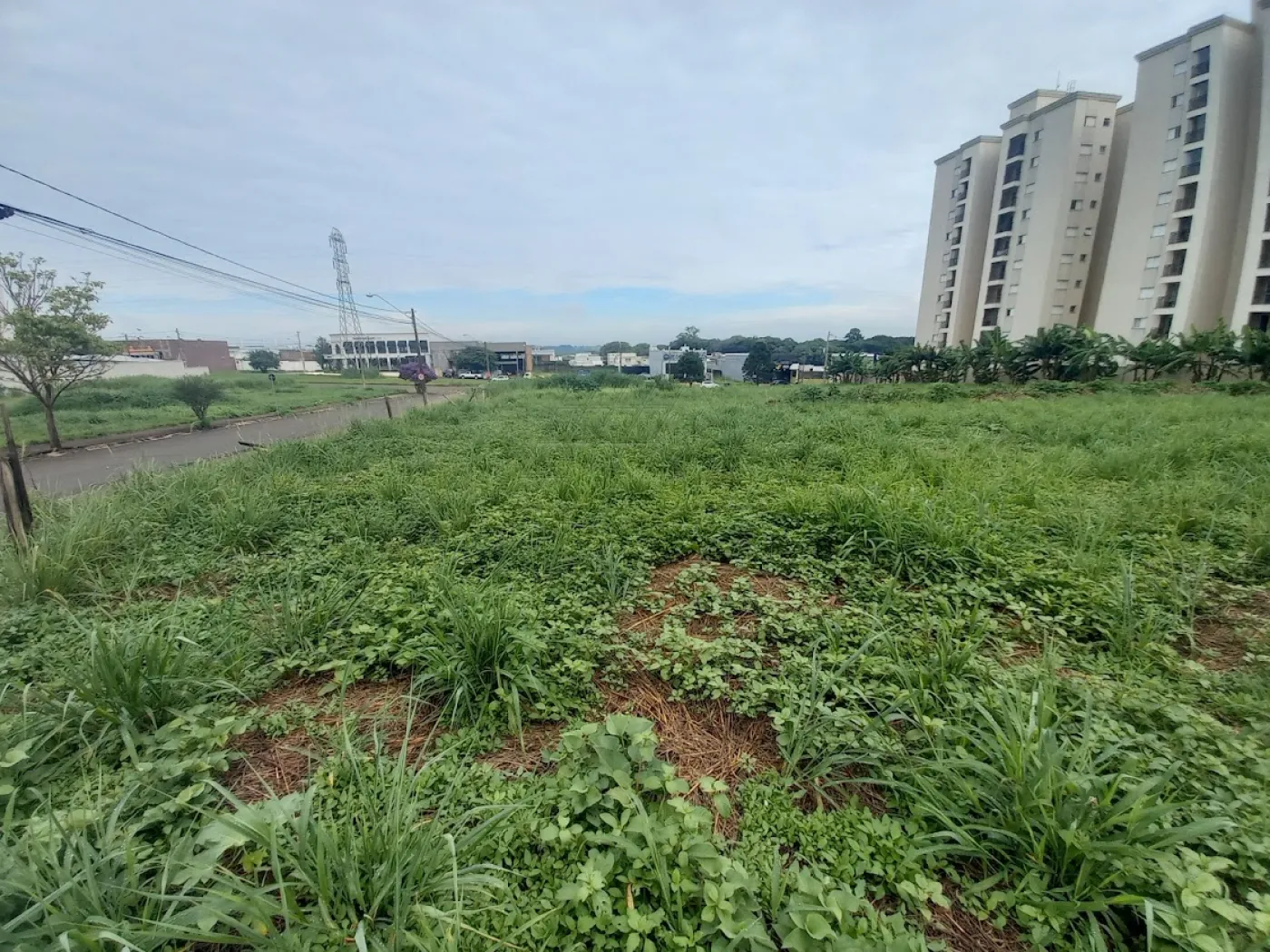 Thumbnail b530136a-6103-45b4-afbc-390e685c3ec7