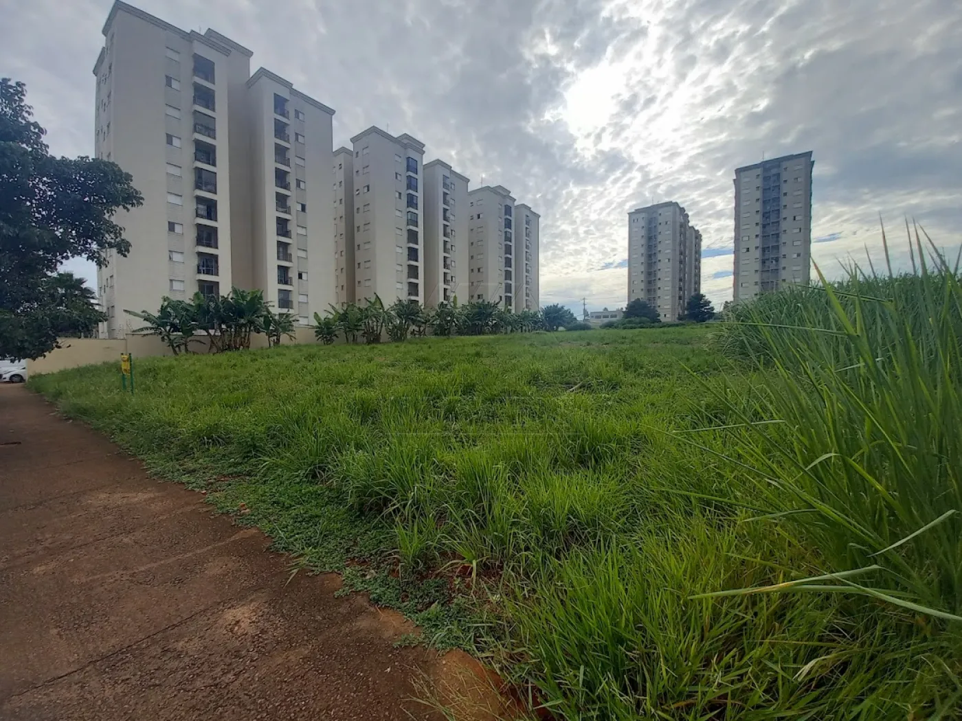 Thumbnail d82d881d-7f51-4a82-8c53-7279b9af34f0