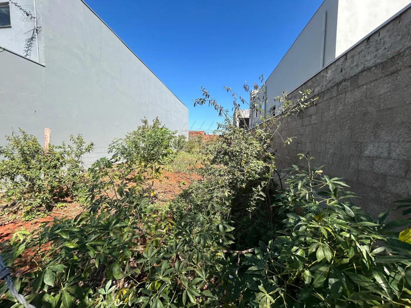 Terreno / Lote no Terrazul SM - Santa Bárbara d'Oeste — foto 2