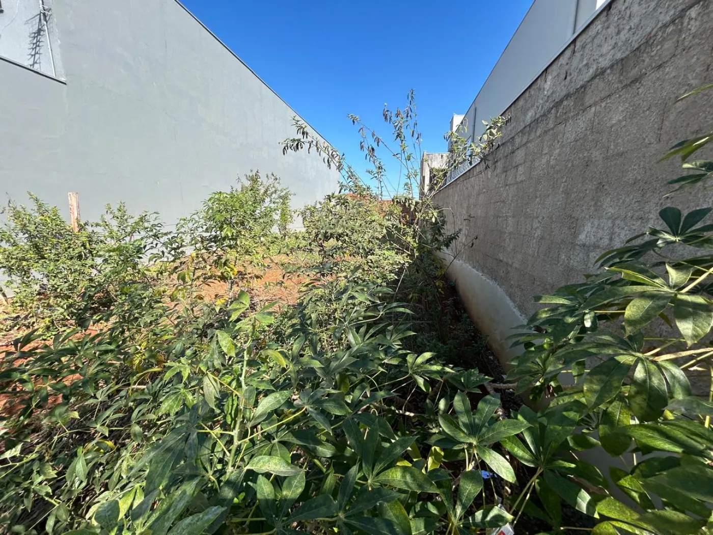 Terreno / Lote no Terrazul SM - Santa Bárbara d'Oeste — foto 3