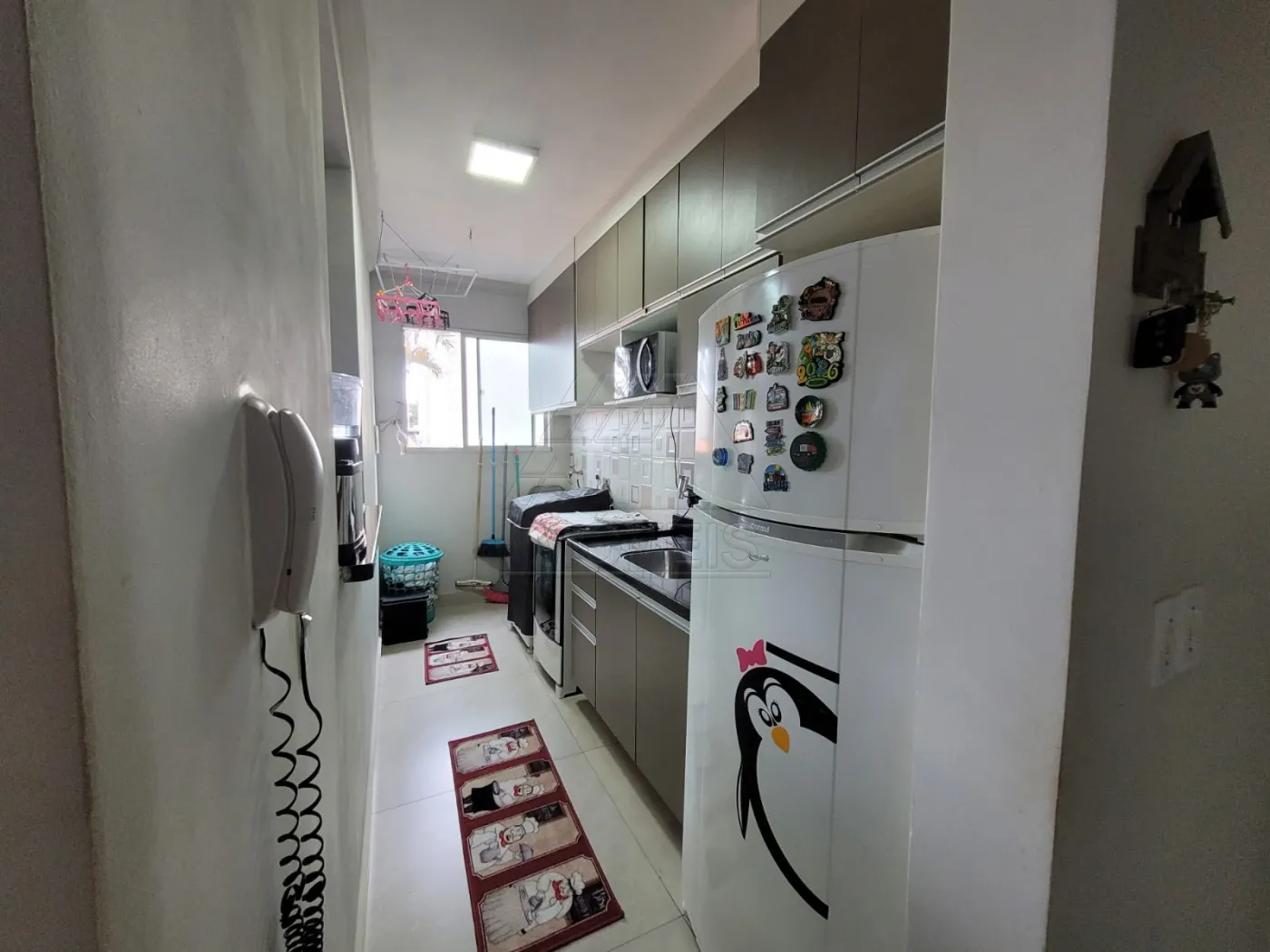 Apartamento com 2 quartos no Jardim Progresso - Americana — foto 5