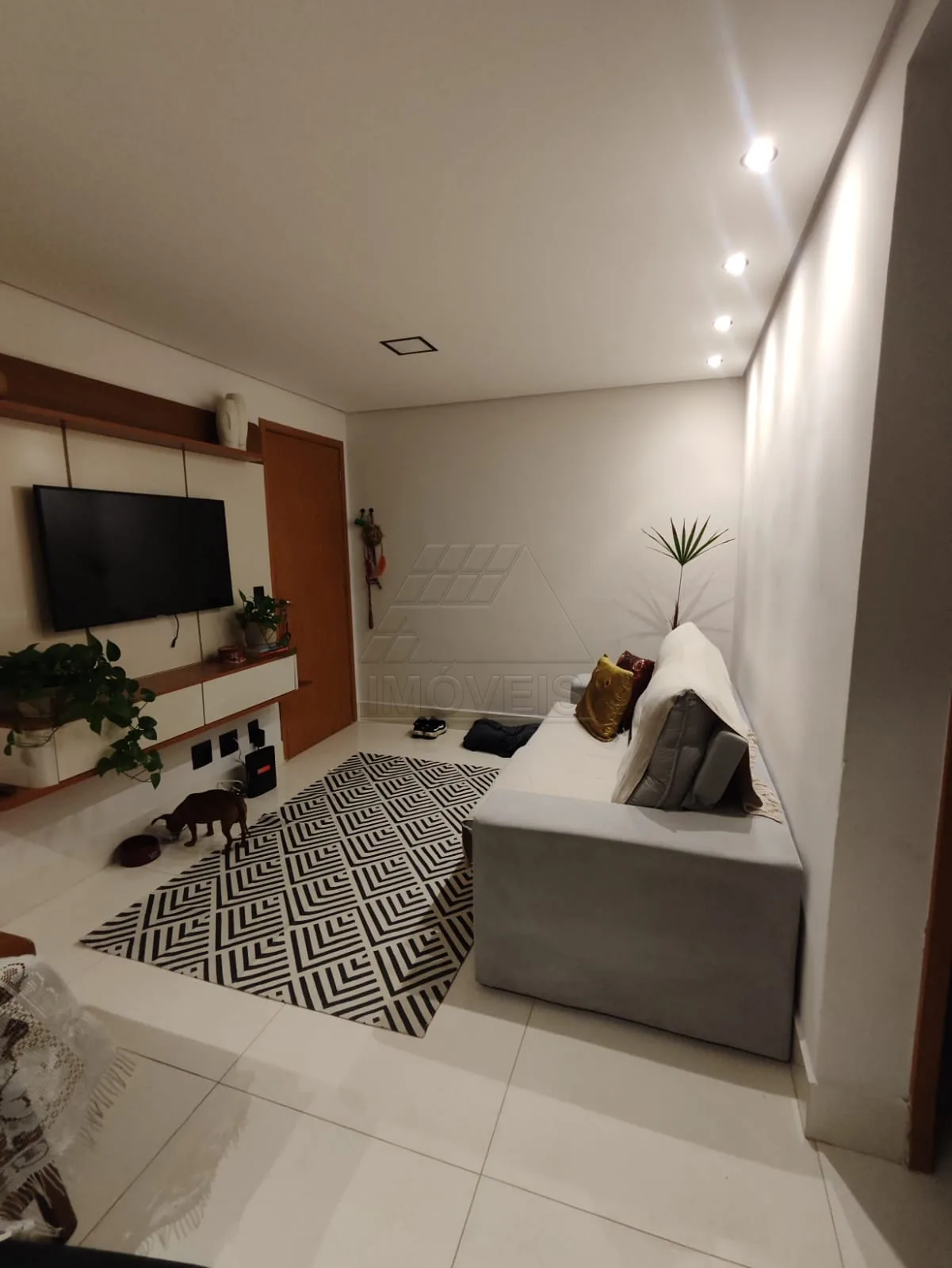 Alugar Apartamento / Residencial em Americana R$ 1.300,00 - Foto 3