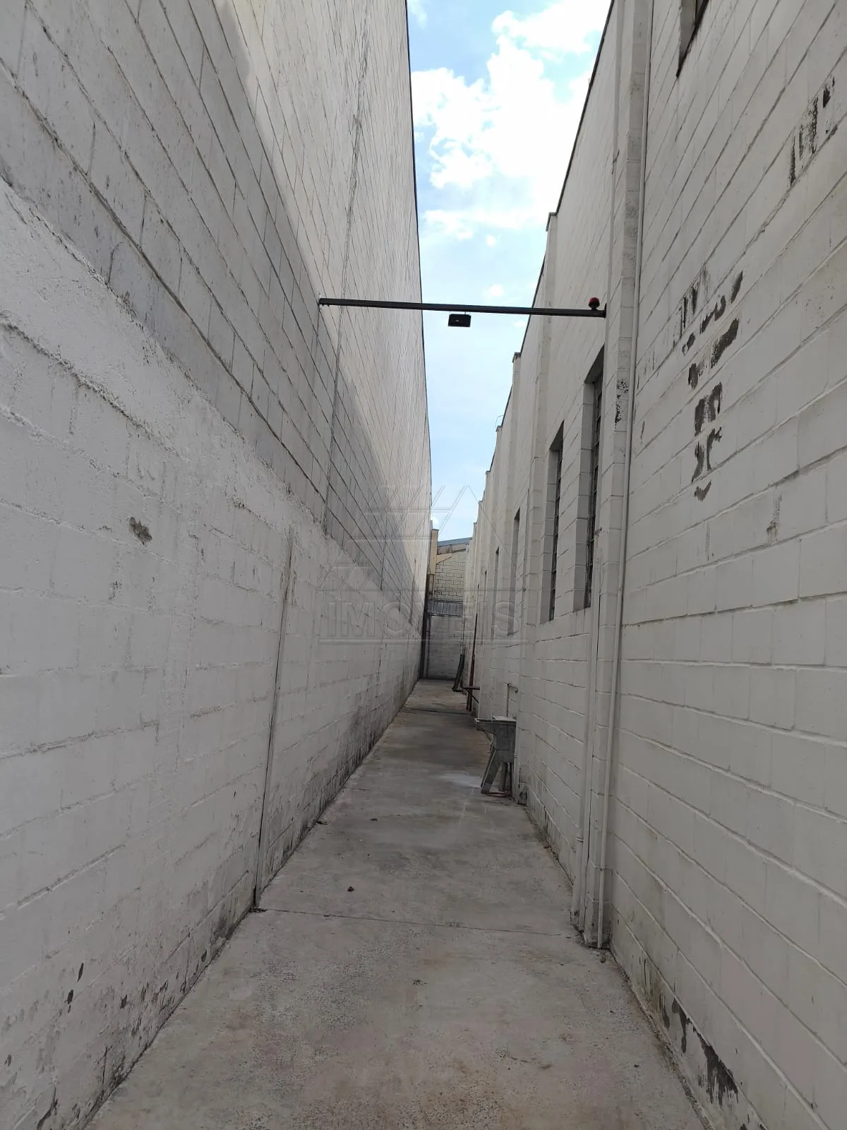 Alugar Industrial / Galp&atilde;o em Americana R$ 10.000,00 - Foto 9