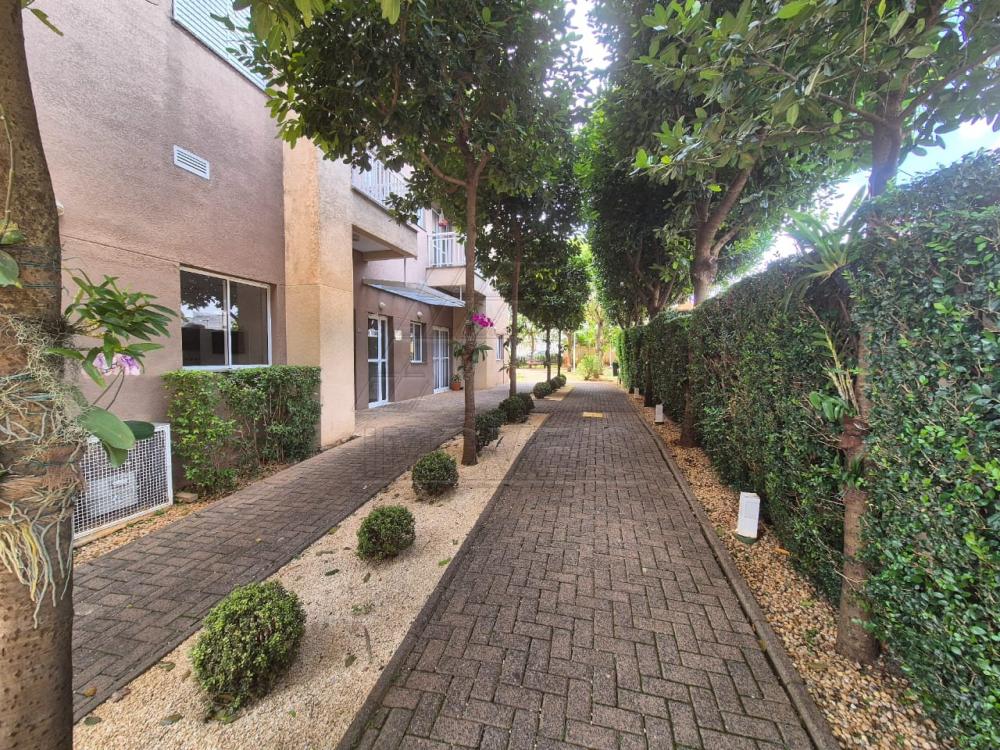 Comprar Apartamento / Residencial em Americana R$ 430.000,00 - Foto 46