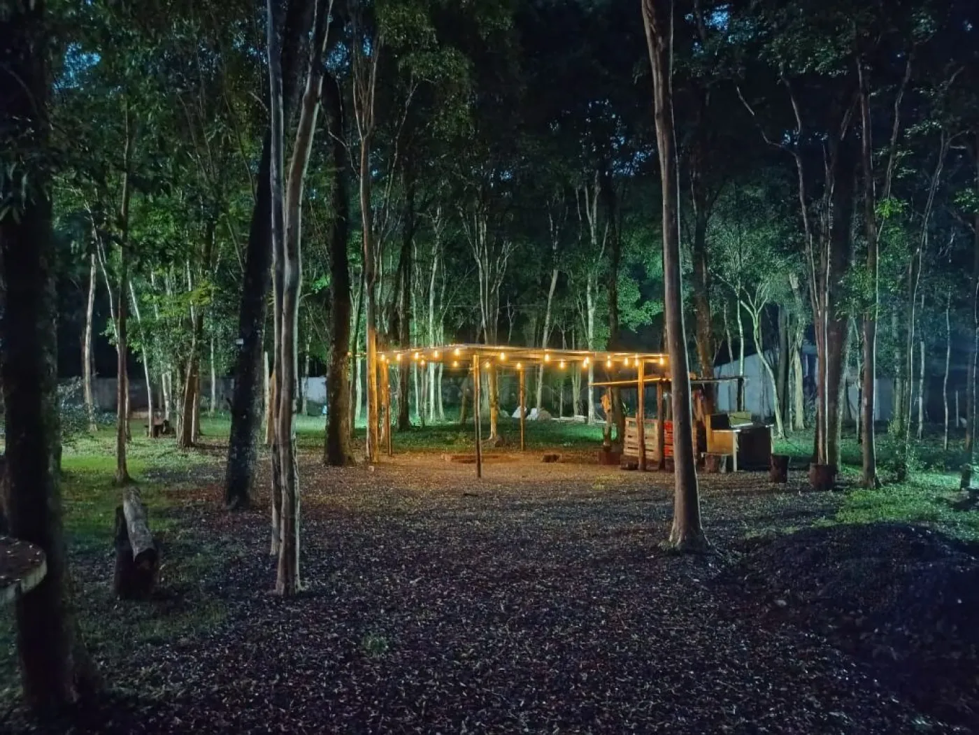 Chácara com 2 dormitórios à venda com 5000 m² no Arroio Dourado em Foz do Iguaçu/PR