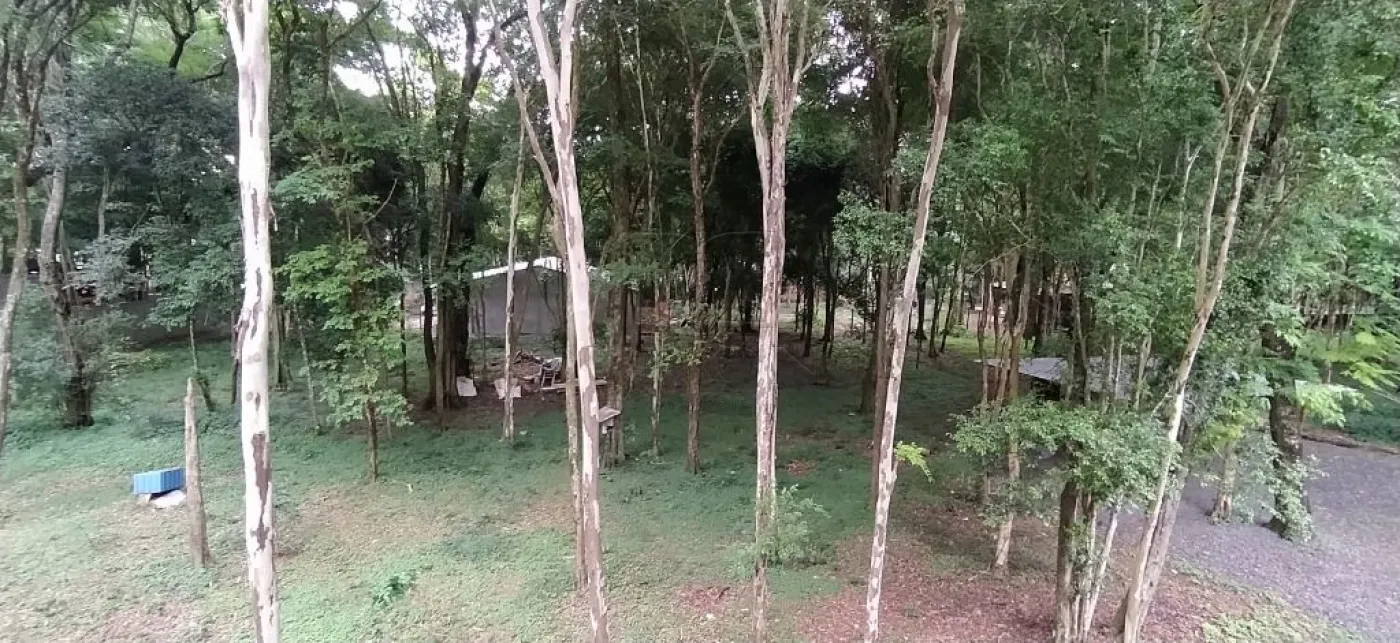 Chácara com 2 dormitórios à venda com 5000 m² no Arroio Dourado em Foz do Iguaçu/PR