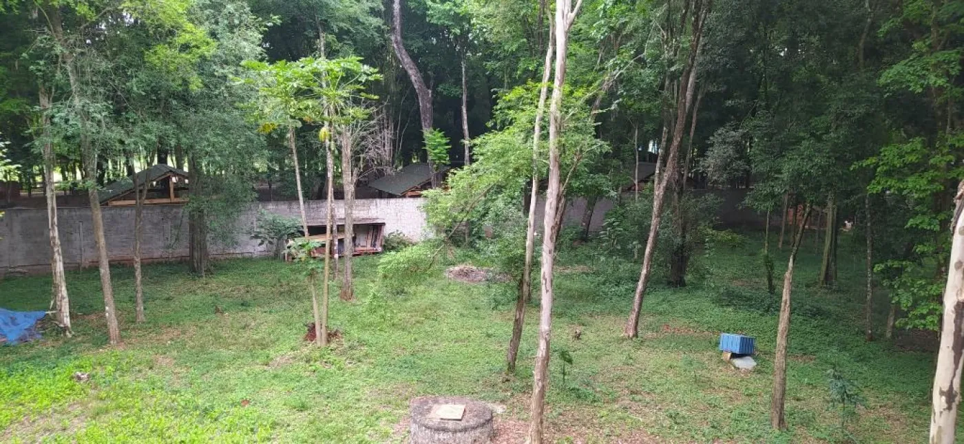 Chácara com 2 dormitórios à venda com 5000 m² no Arroio Dourado em Foz do Iguaçu/PR