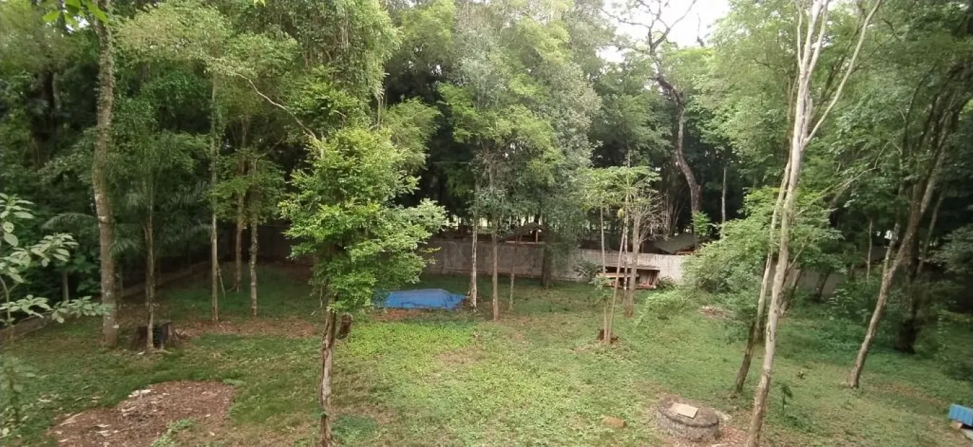 Chácara com 2 dormitórios à venda com 5000 m² no Arroio Dourado em Foz do Iguaçu/PR