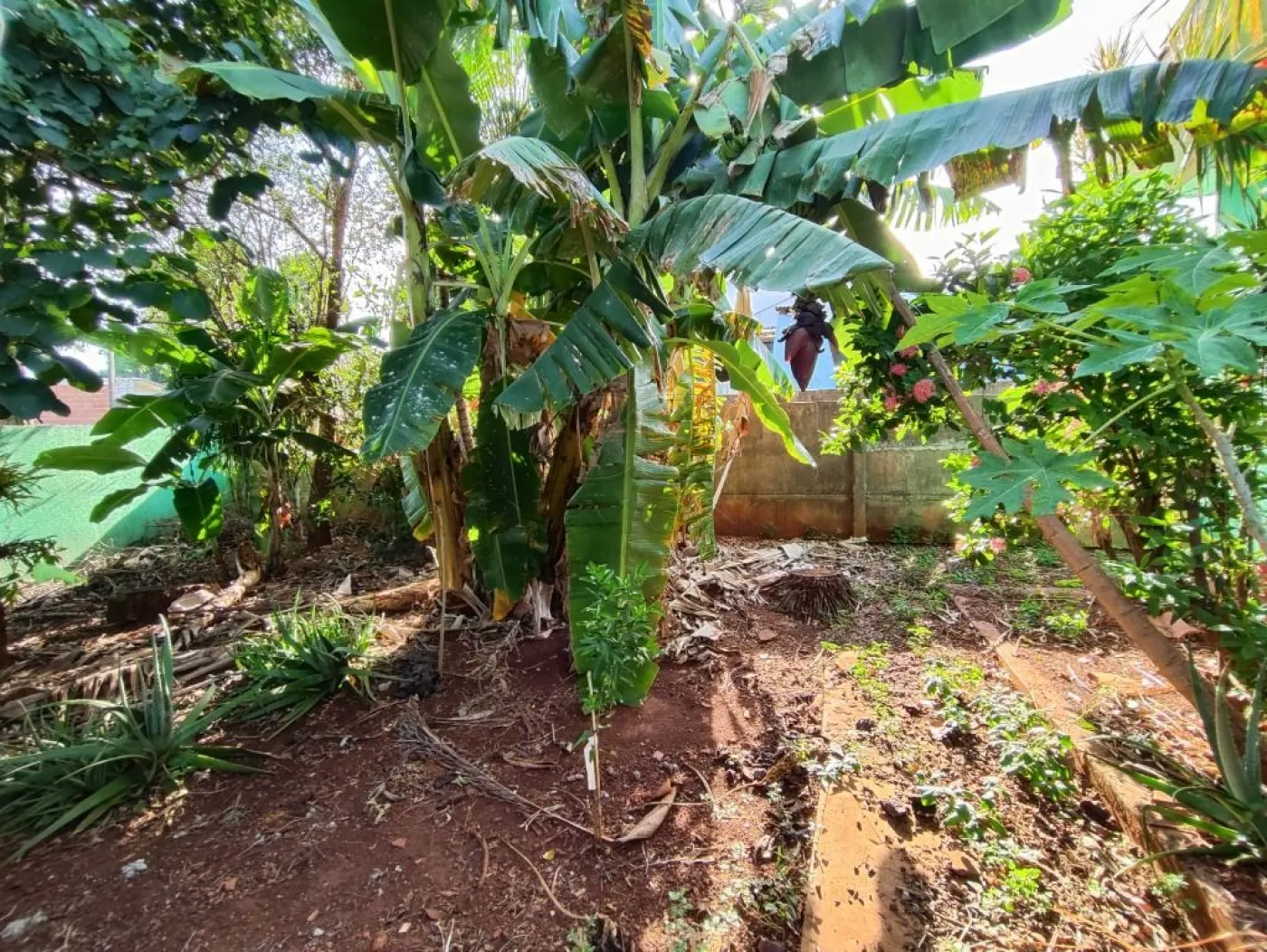 Imóvel amplo e funcional, ideal para quem busca conforto, espaço externo e ótima estrutura, com excelente aproveitamento do terreno.