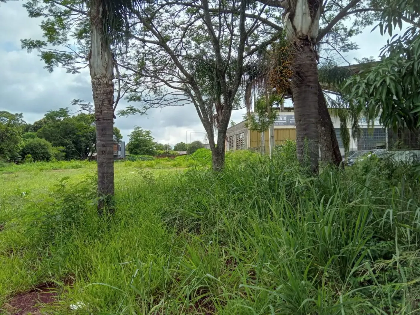 OPORTUNIDADE IMPERDÍVEL DE TERRENO EM FOZ DO IGUAÇU!!