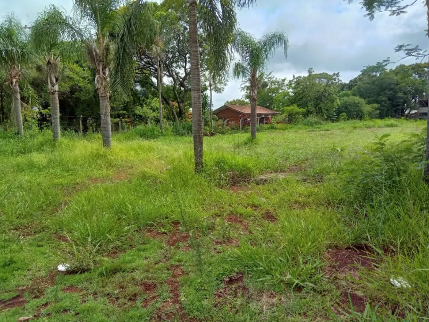 OPORTUNIDADE IMPERDÍVEL DE TERRENO EM FOZ DO IGUAÇU!!