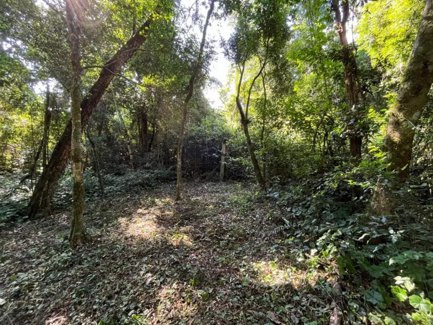 Área próxima à Avenida das Cataratas II !!!