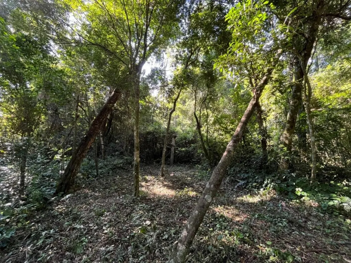 Área próxima à Avenida das Cataratas II !!!