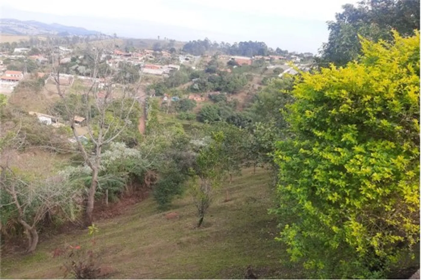 Alugar Rural / Ch&aacute;cara em Campo Limpo Paulista R$ 3.200,00 - Foto 19