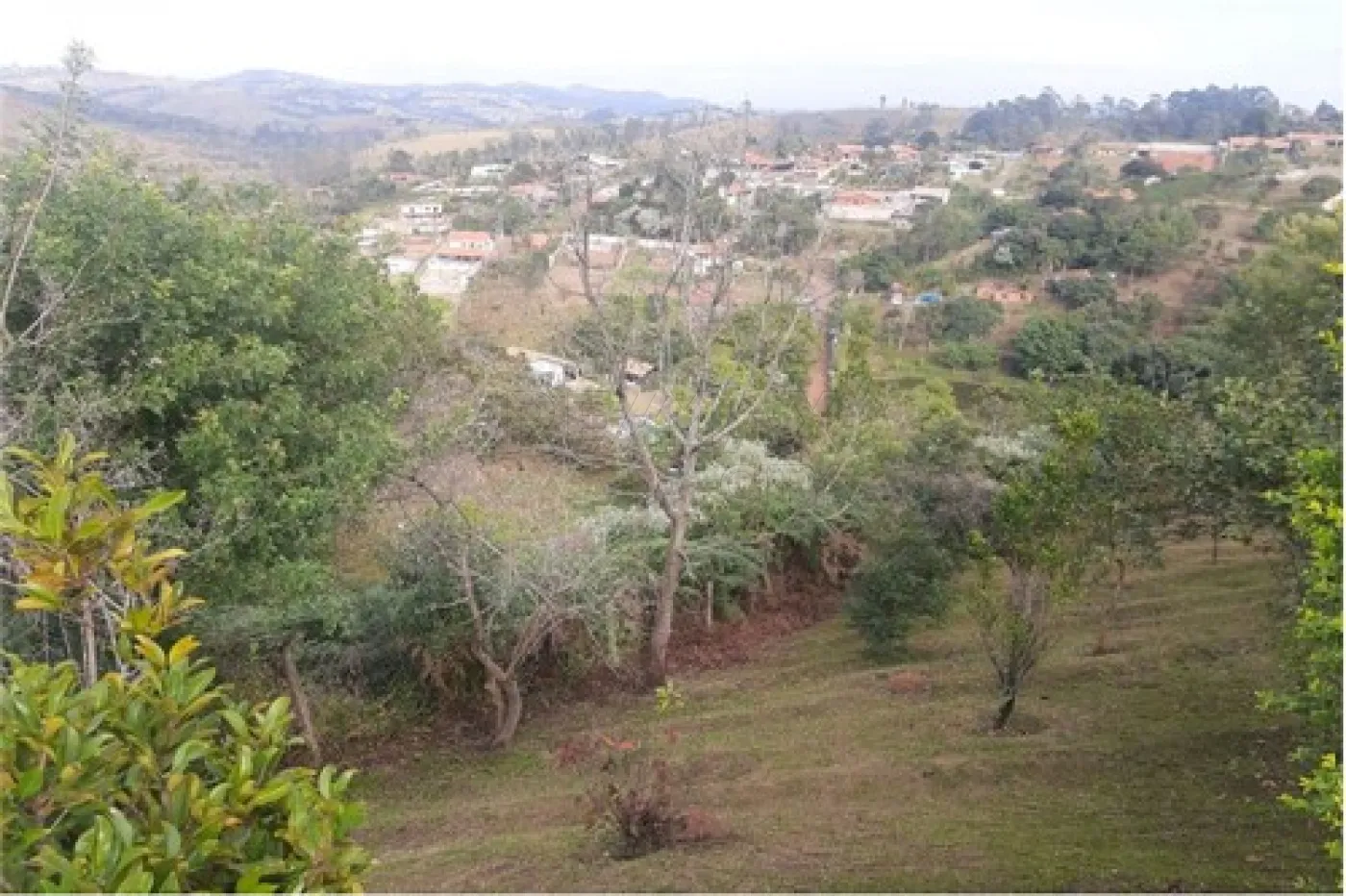 Alugar Rural / Ch&aacute;cara em Campo Limpo Paulista R$ 3.200,00 - Foto 20