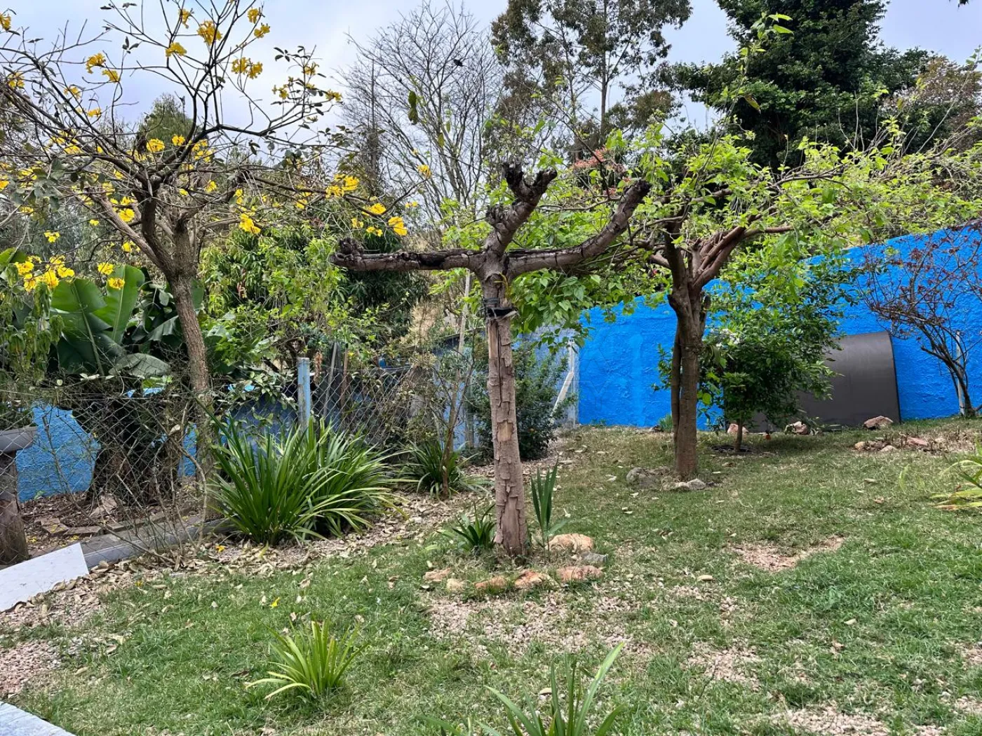Comprar Casa / Padr&atilde;o em Campo Limpo Paulista R$ 690.000,00 - Foto 34