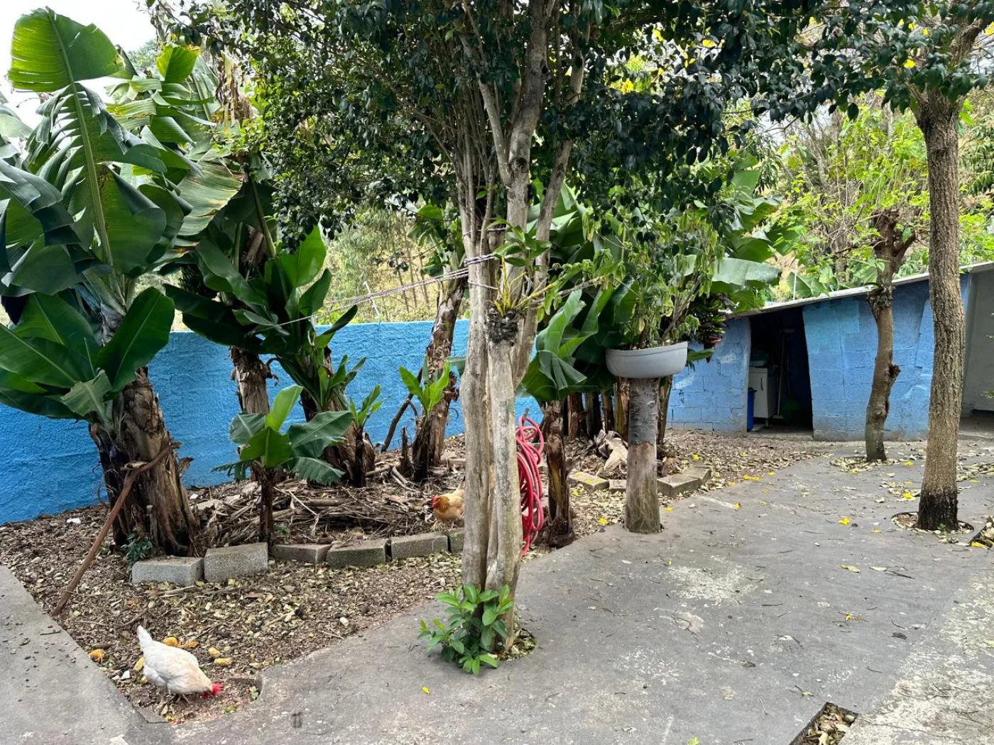 Comprar Casa / Padr&atilde;o em Campo Limpo Paulista R$ 690.000,00 - Foto 2