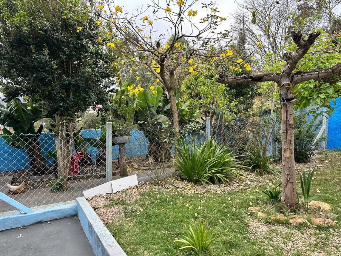 Comprar Casa / Padr&atilde;o em Campo Limpo Paulista R$ 690.000,00 - Foto 14