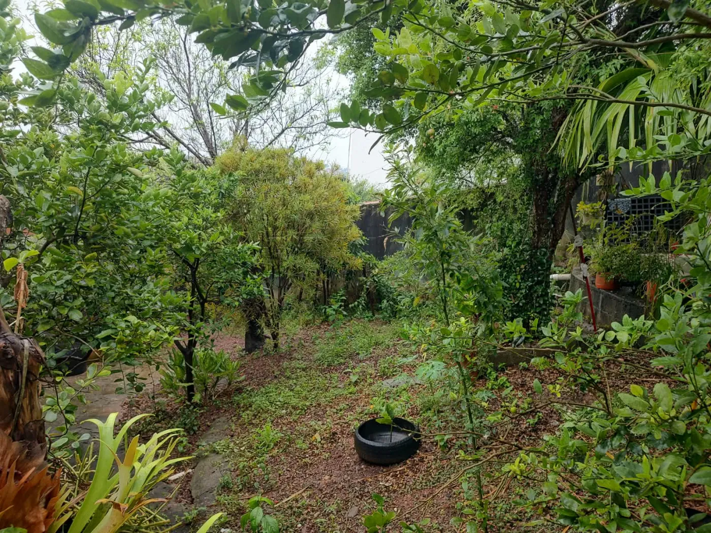 Comprar Casa / Padr&atilde;o em V&aacute;rzea Paulista R$ 520.000,00 - Foto 19
