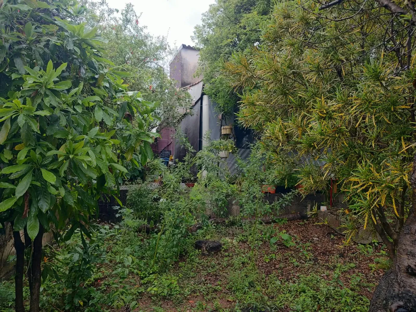 Comprar Casa / Padr&atilde;o em V&aacute;rzea Paulista R$ 520.000,00 - Foto 21